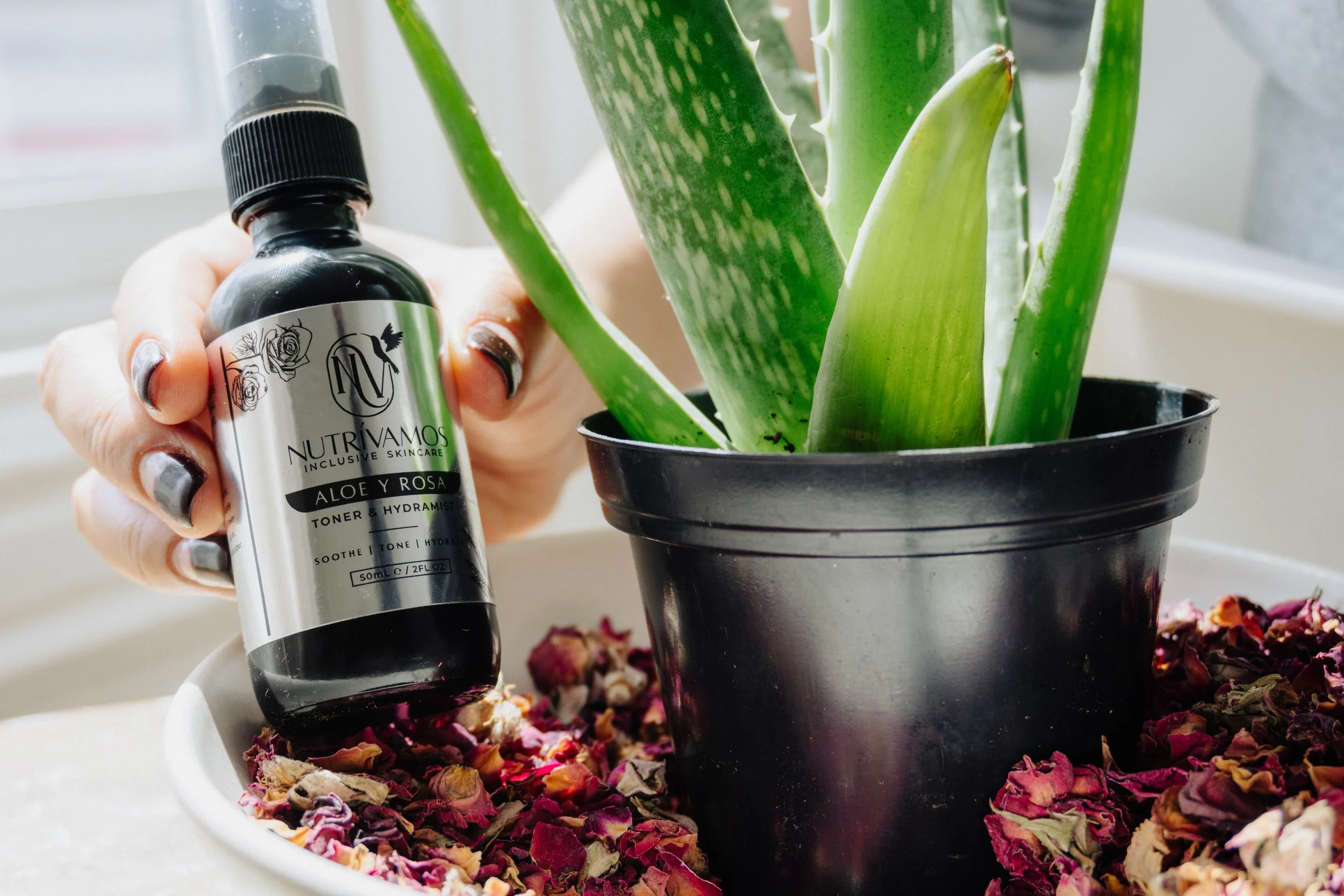 Aloe y Rosa Toner