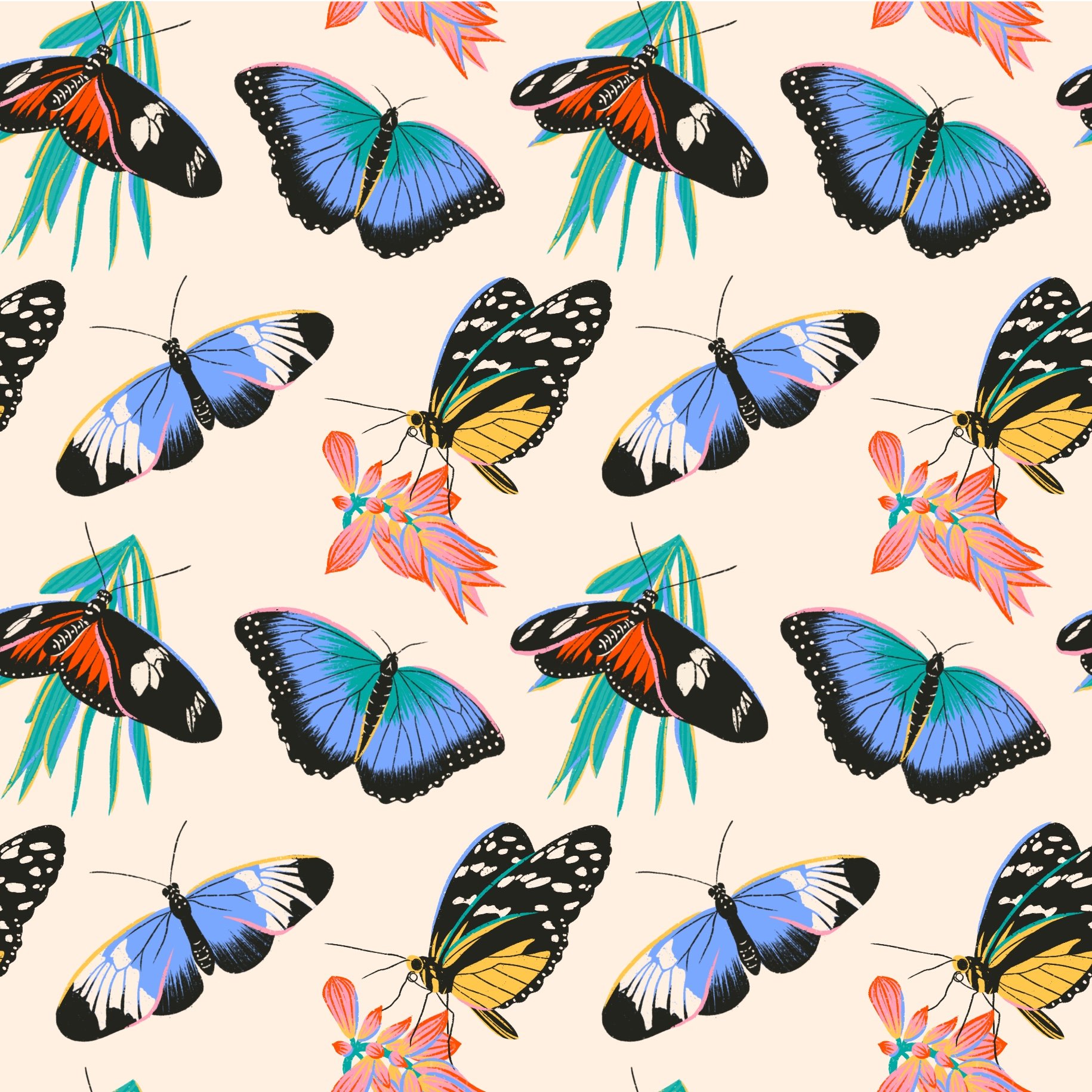 Illustrations