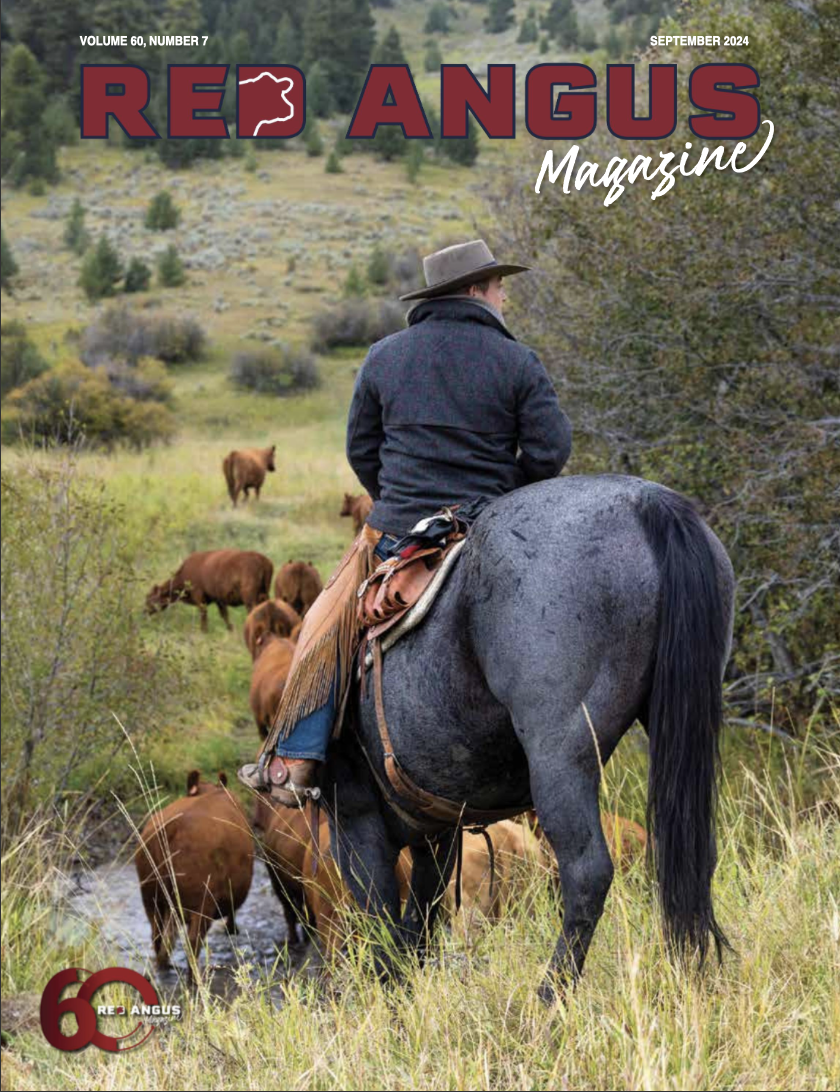 Screenshot 2026-01-06 at 3.17.58 PM.png