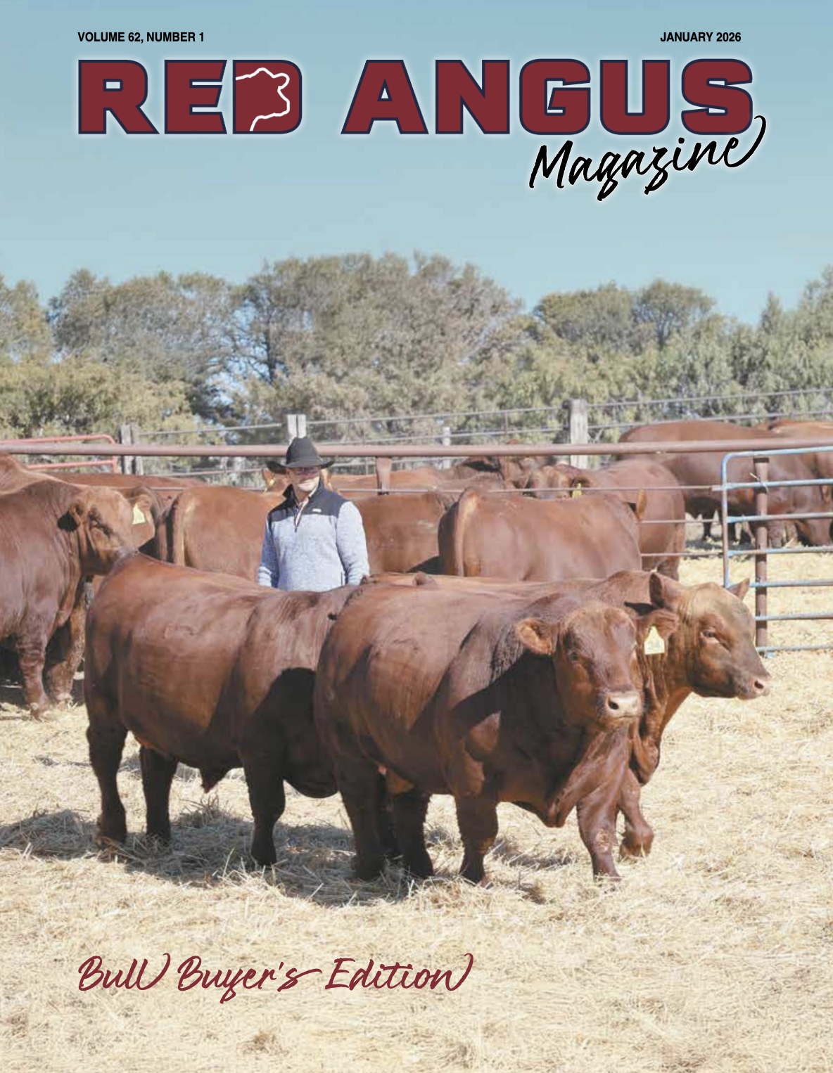 Screenshot 2026-01-06 at 3.12.50 PM.png