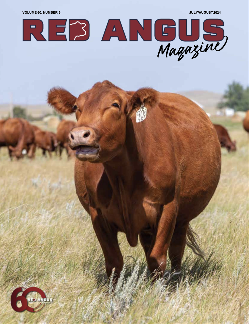 Screenshot 2026-01-06 at 3.17.11 PM.png