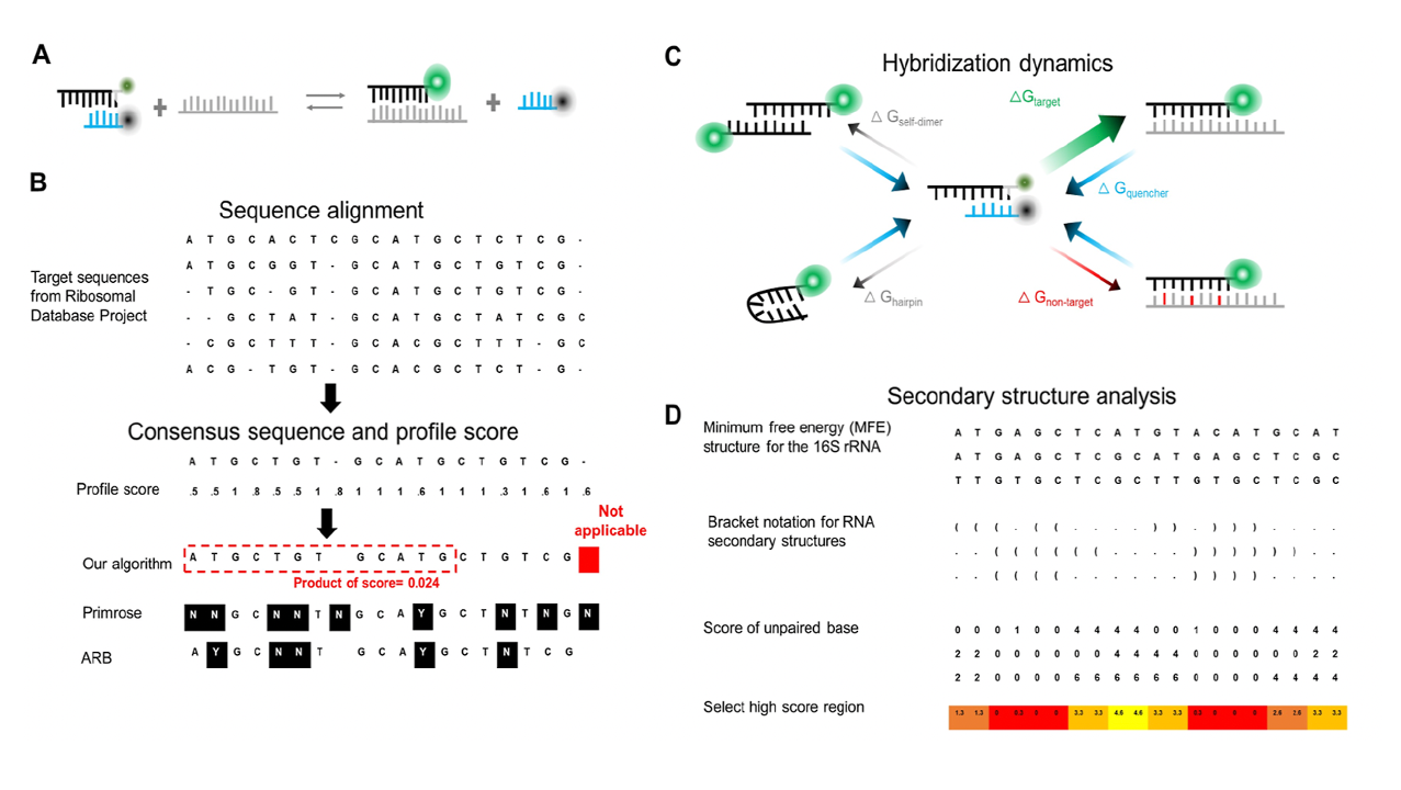 Multimodal biosensor