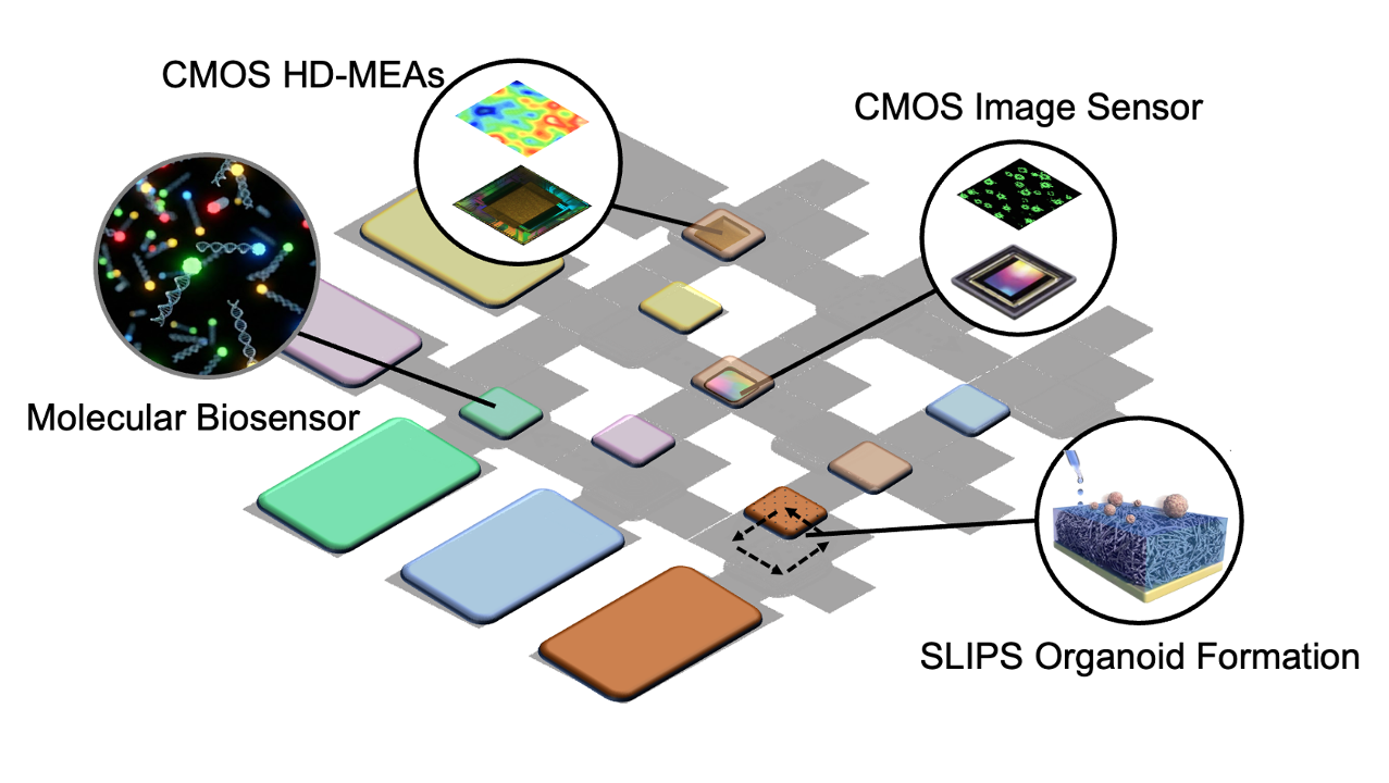 Digital Microfluidics