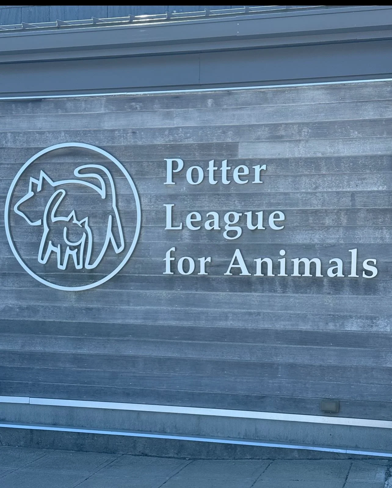 If there&rsquo;s one thing JDI loves to do it&rsquo;s help the animals 🐶🐱 we recently worked with @potterleague in accepting a huge donation from Chewy 🐾 huge shoutout to our staff for helping out!!