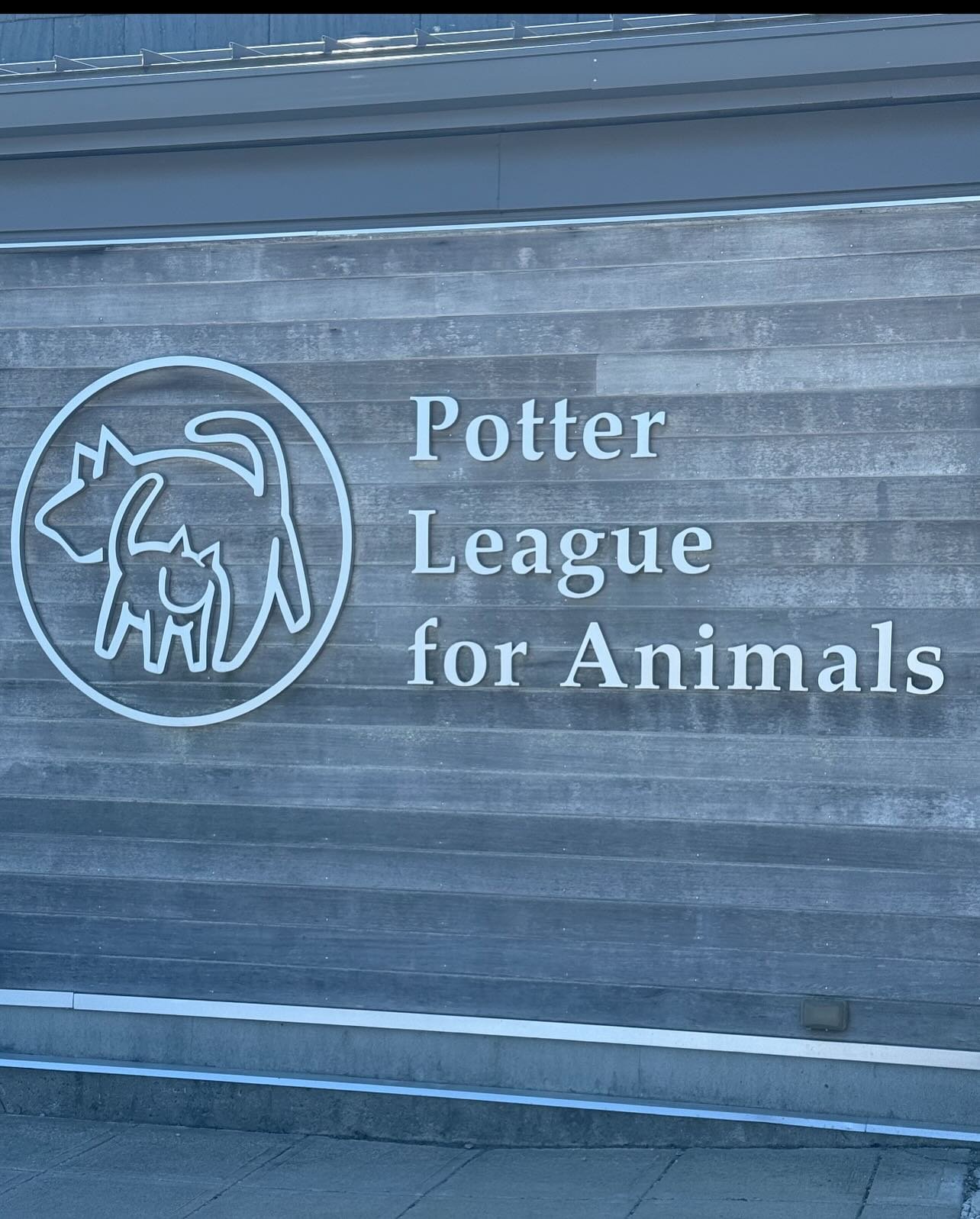 If there&rsquo;s one thing JDI loves to do it&rsquo;s help the animals 🐶🐱 we recently worked with @potterleague in accepting a huge donation from Chewy 🐾 huge shoutout to our staff for helping out!!