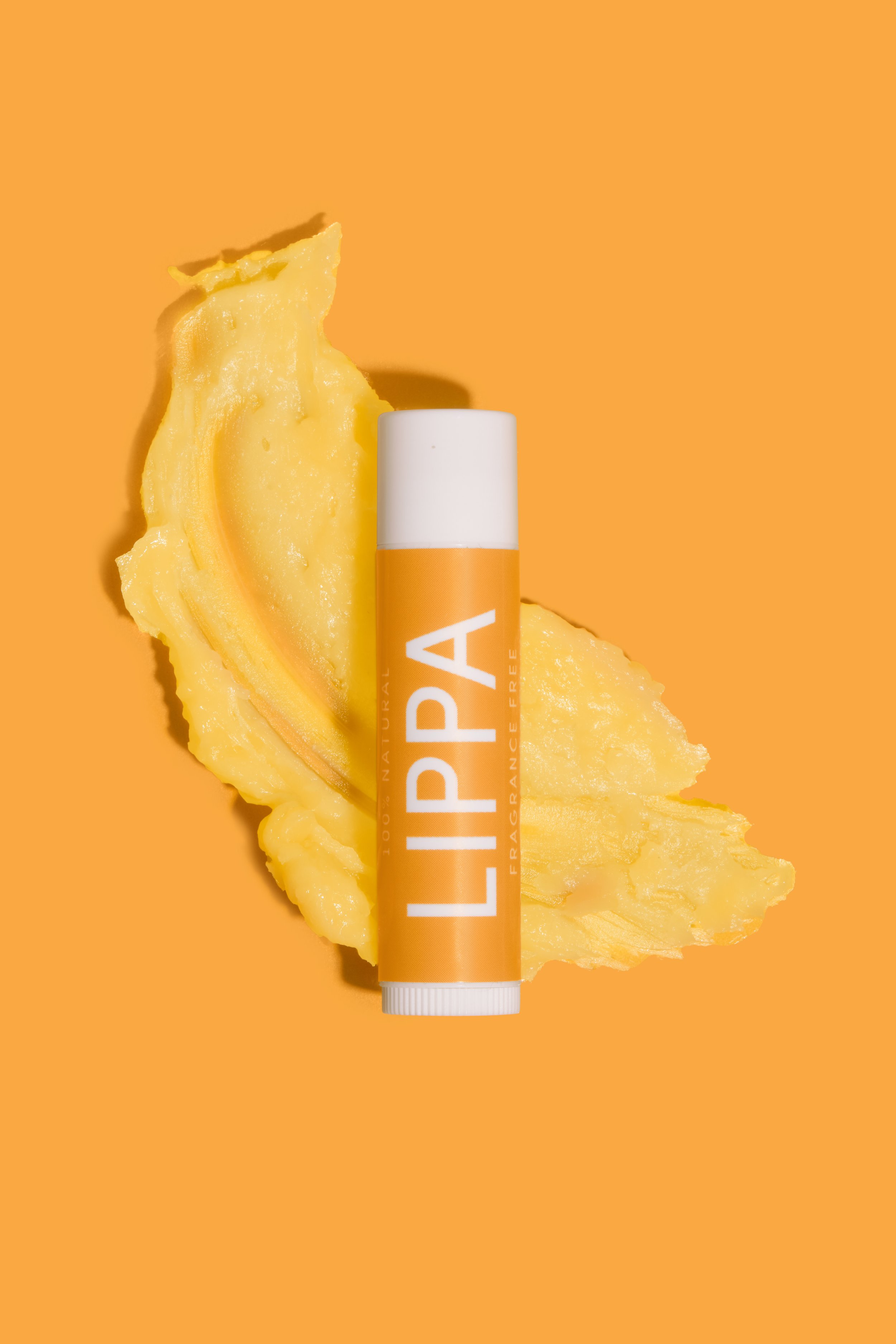 LIPPA - Jan 2025 (25).jpg