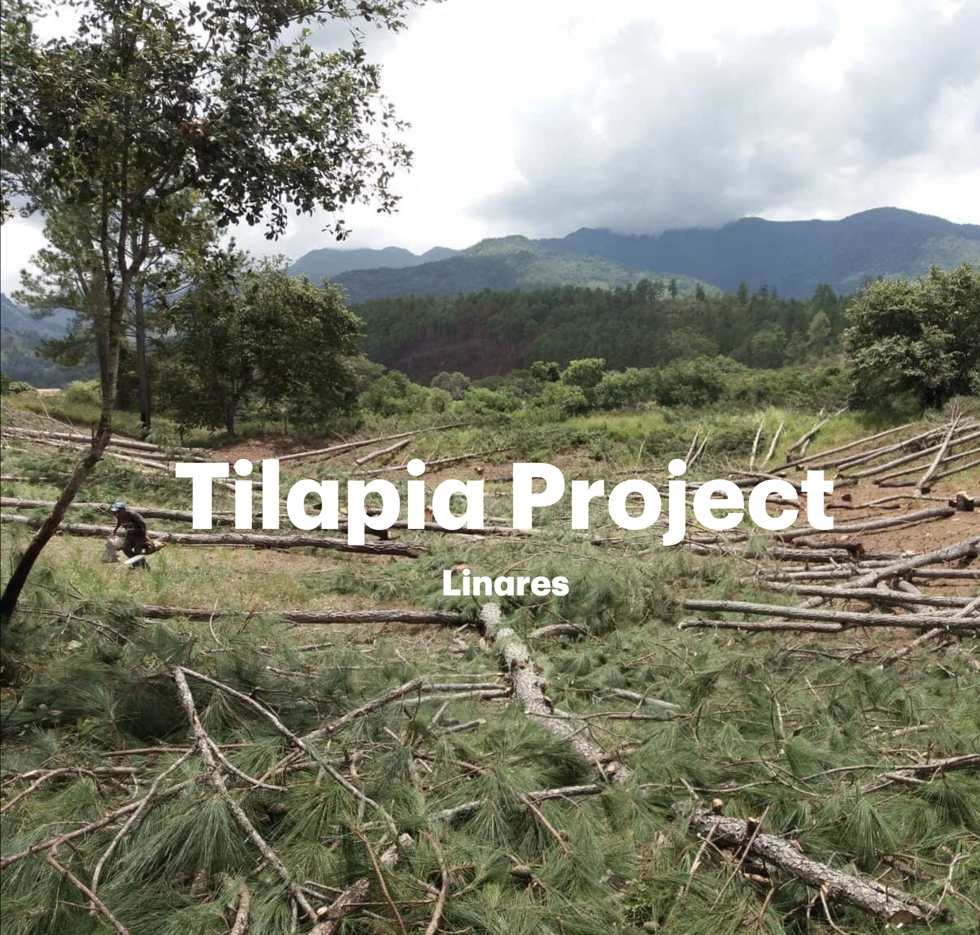 The Tilapia Project Moves Ahead…