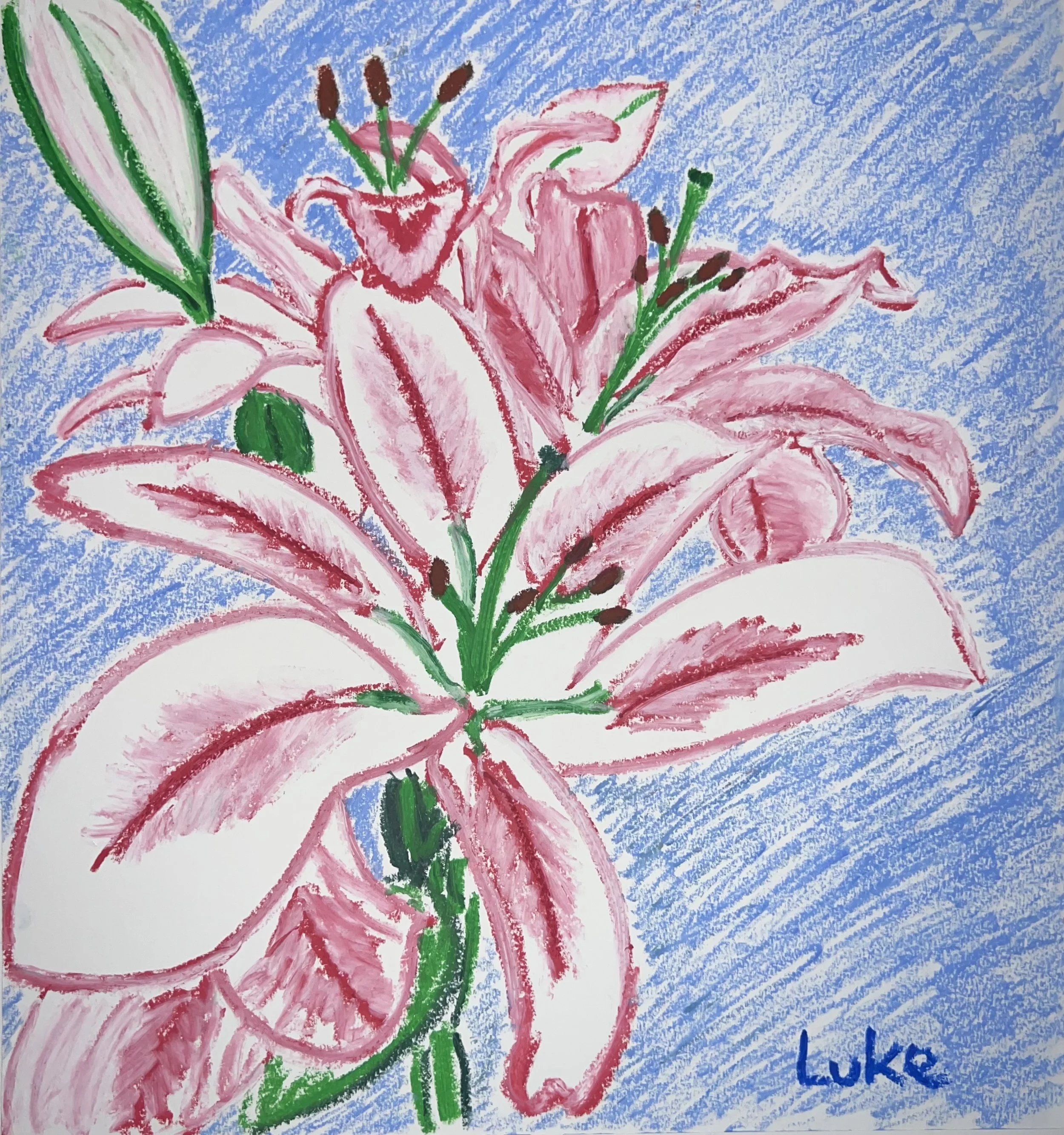 "Lilies" | Oil Pastel on Paper | 2023