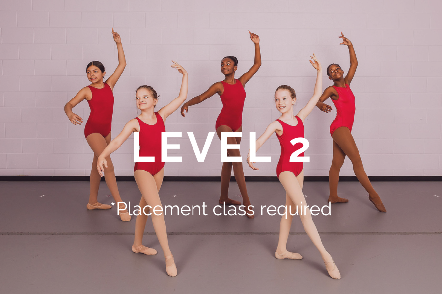 LEVEL 2.png