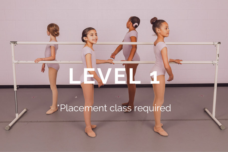 LEVEL 1.png