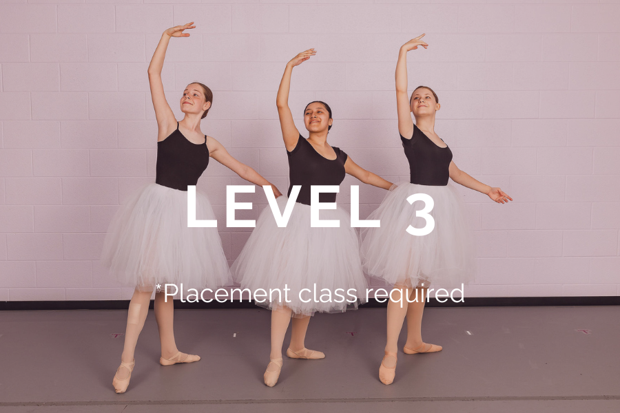 LEVEL 3.png