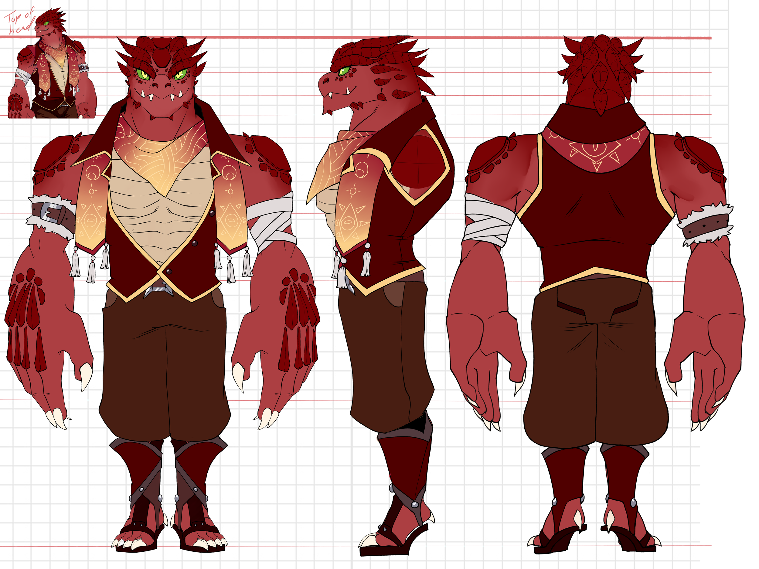 DR- Avi Dragonborn Ref.png