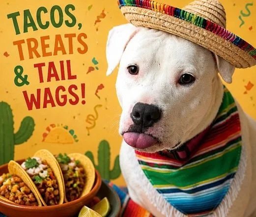 We&rsquo;ve got a little Cinco de Mayo fiesta happening over here&hellip; and you&rsquo;re invited to help 🎉🐾

We&rsquo;re getting new epoxy flooring installed in our kennel space (🎊 upgrade!), but it means every dog needs a place to crash until F