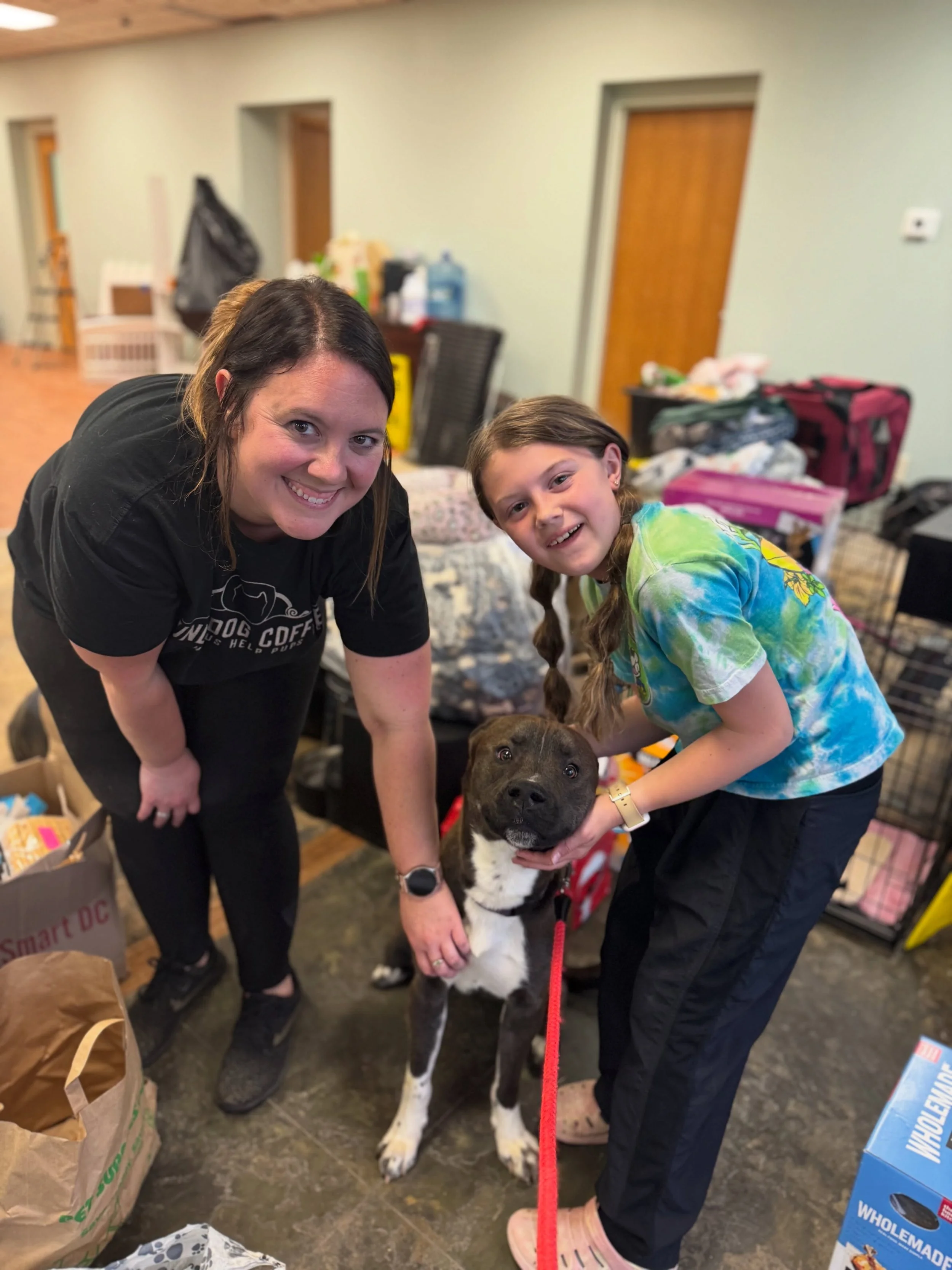 Huge thank you to the incredible volunteers who came out to help us sort donations this week 🐾❤️

Every towel folded, bin organized, bag lifted, and supply sorted helps us care for animals in need. It may not always be the glamorous side of rescue, 
