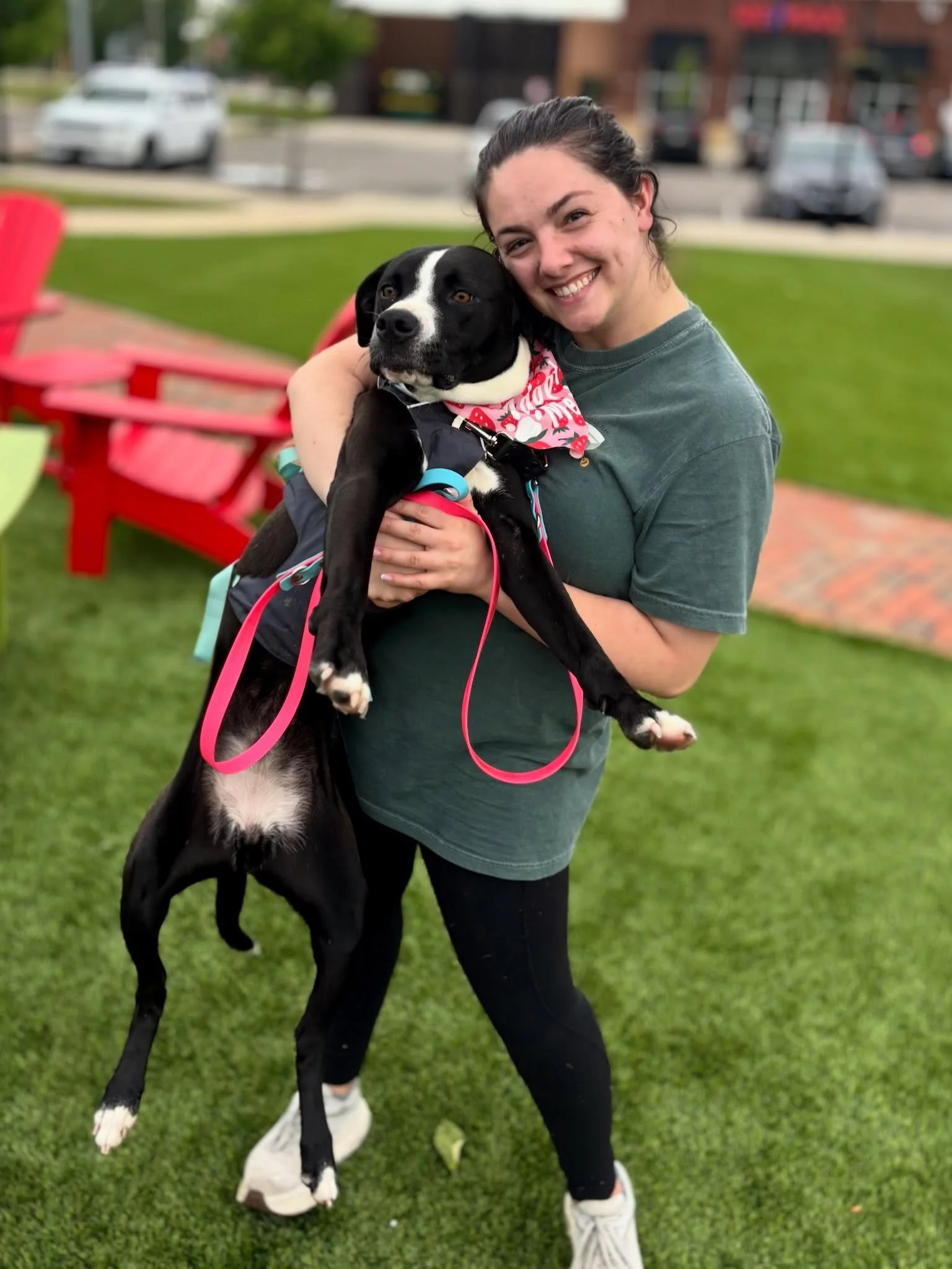 🐾 Coming Soon: PORT Field Trips 🐾

Starting this June after our grand opening, you&rsquo;ll be able to take one of our dogs out for a FIELD TRIP &mdash; and honestly? We think it might become your favorite part of the week.

Imagine giving a shelte