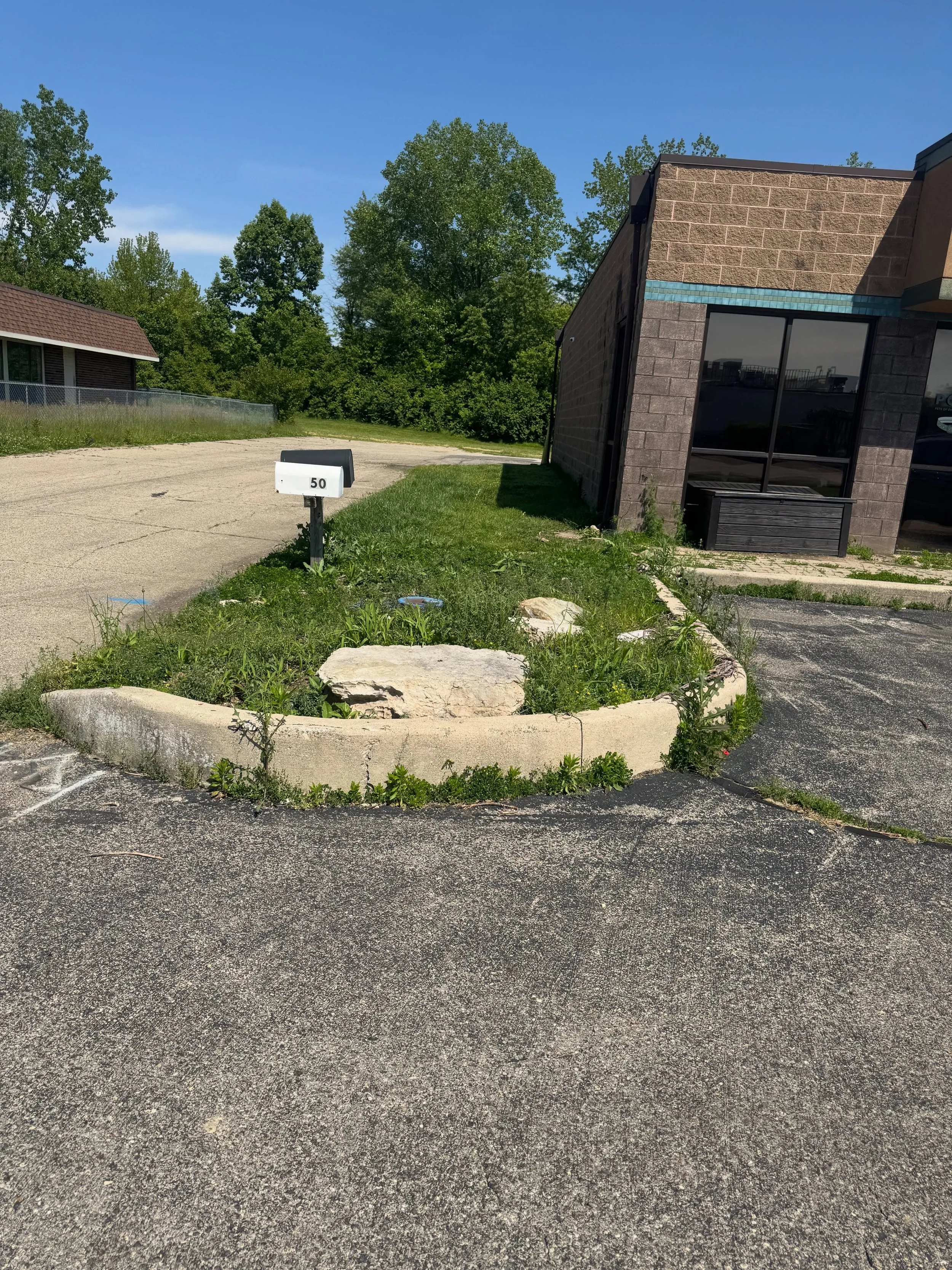 Woah! It&rsquo;s getting pretty crazy over here. We are looking for some volunteer landscaping help. We save pets, green thumbs are not our specialty. Can you help us tame this wild beast and maybe even make it look pretty? Email us at volunteer@pets