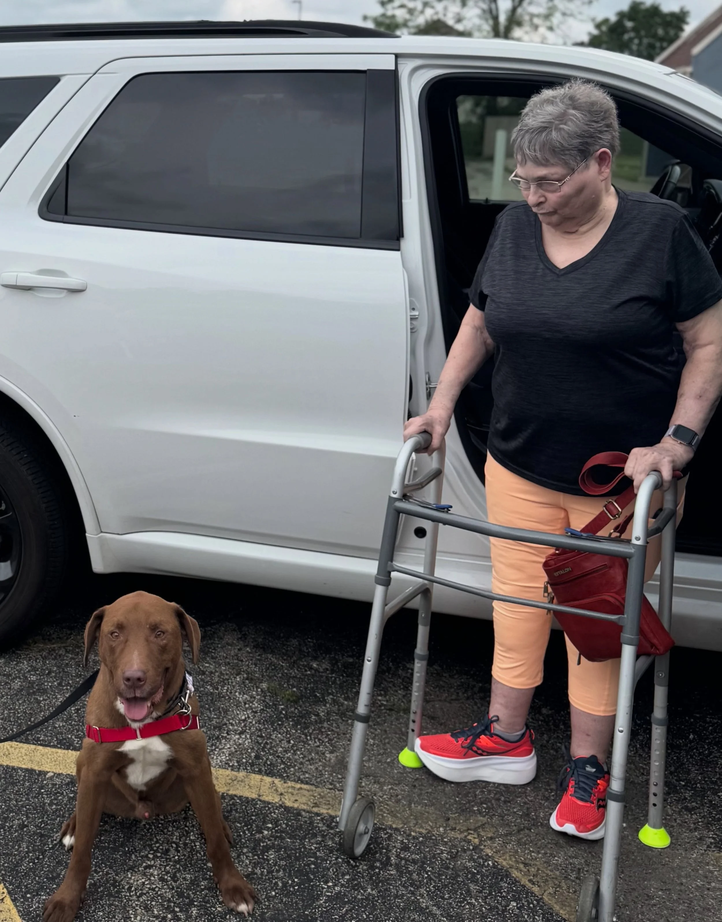 Here is your mid day pick me up: &hellip;. Jimbo got adopted!! 🎉🥹😍
