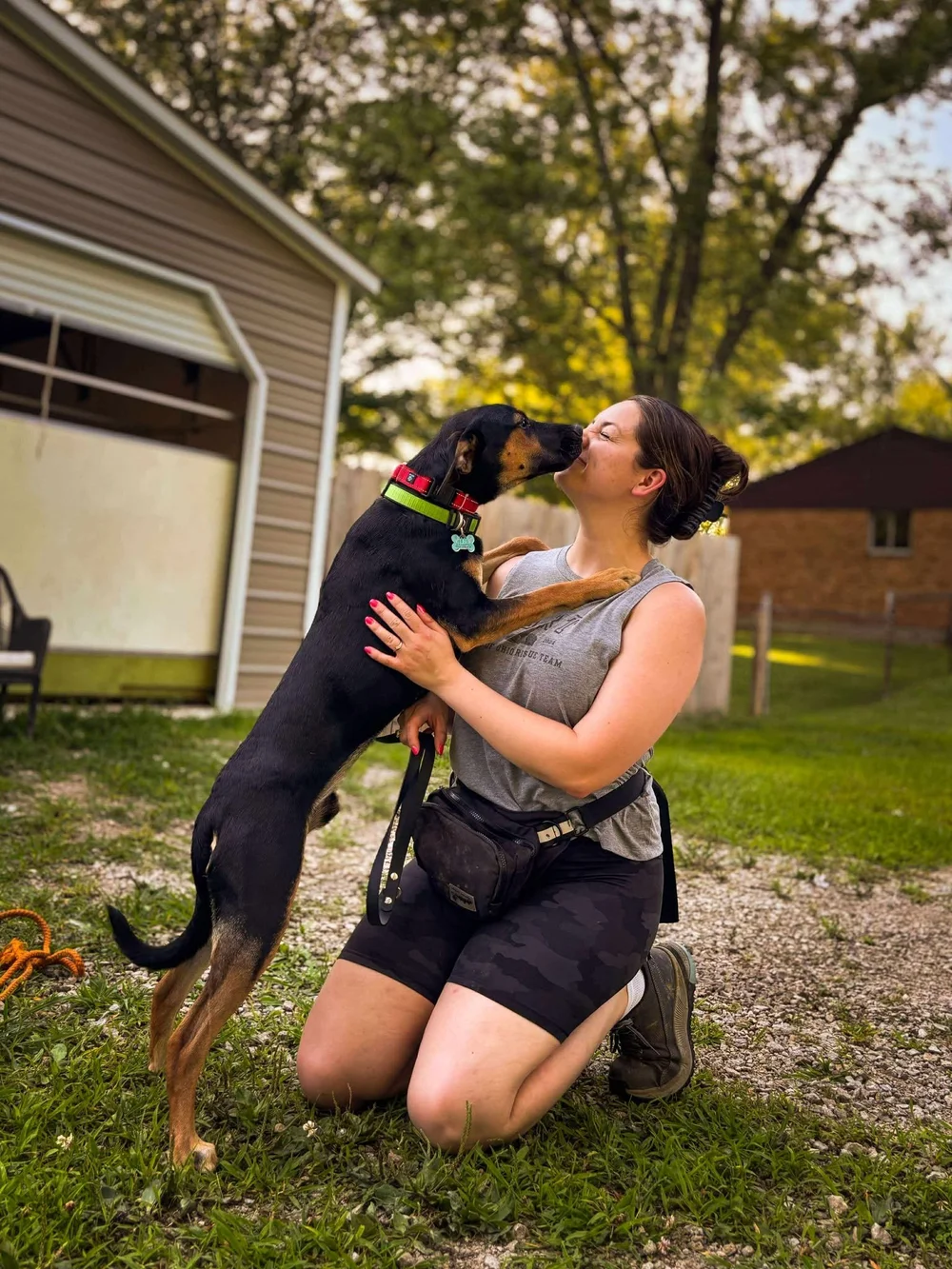 DOGS — Pets of Ohio Rescue Team