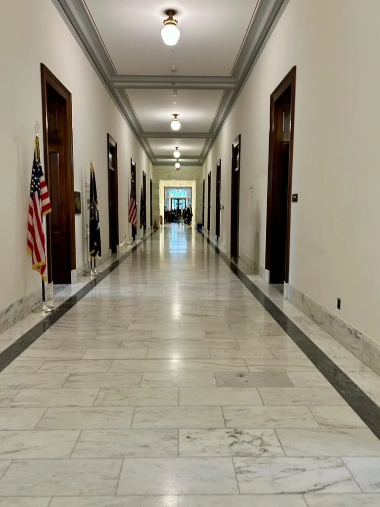 DC5AAB1C-C9B1-4A89-9662-C6A45C9E4868_1_105_c.jpeg