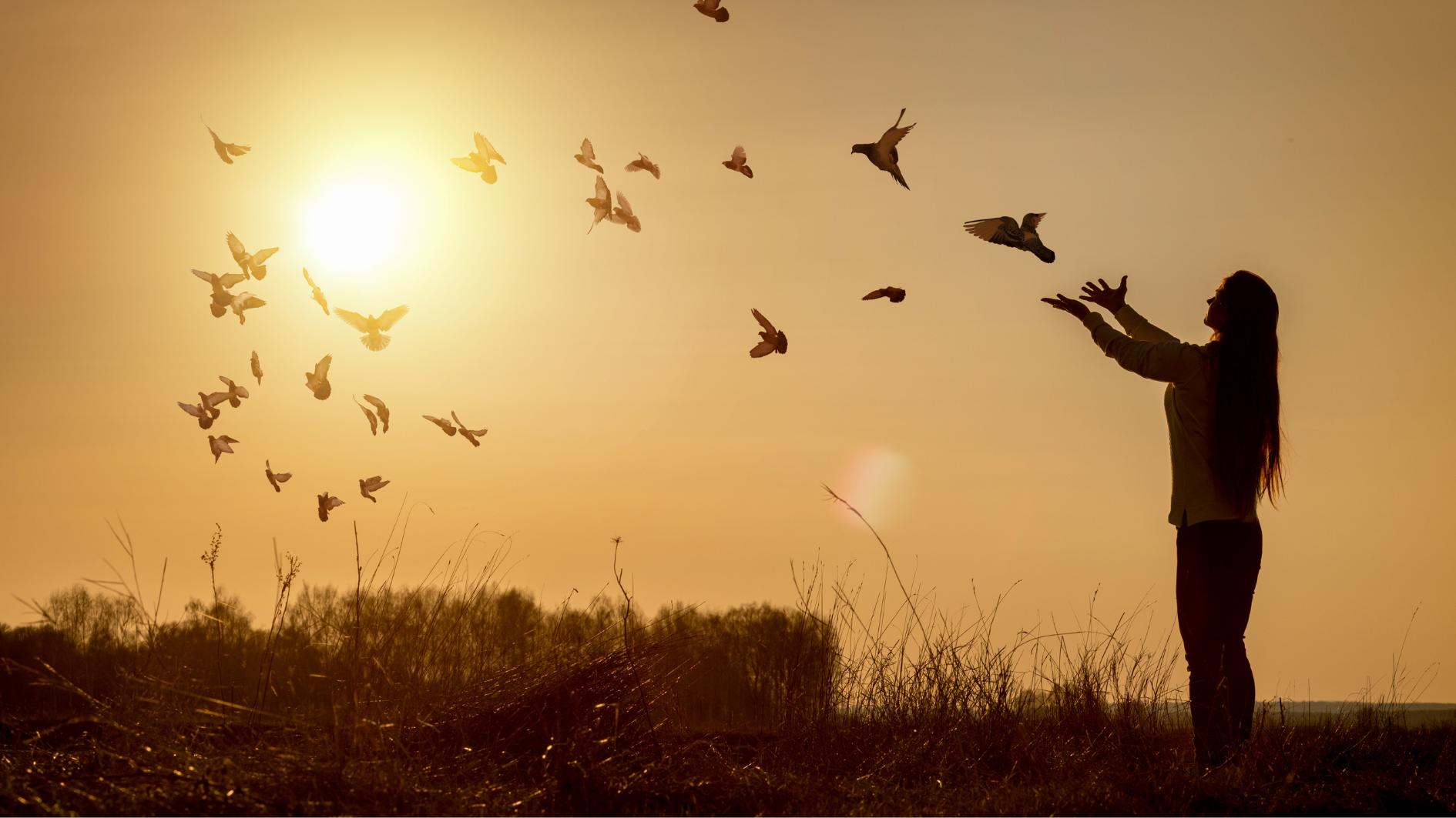 Breaking Free from OCD: The Science Behind ERP Therapy