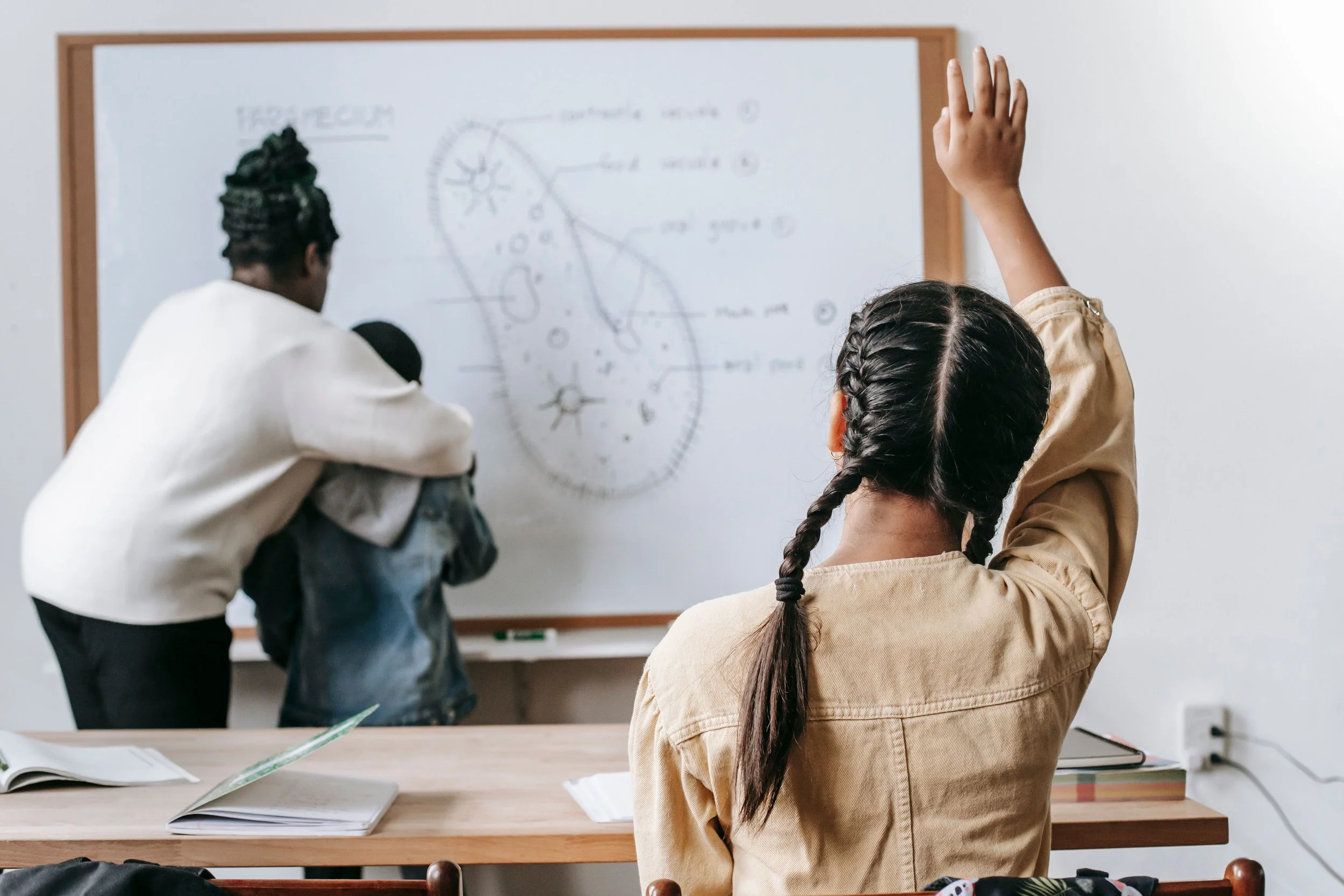 Building Executive Function Skills in Adopted Children