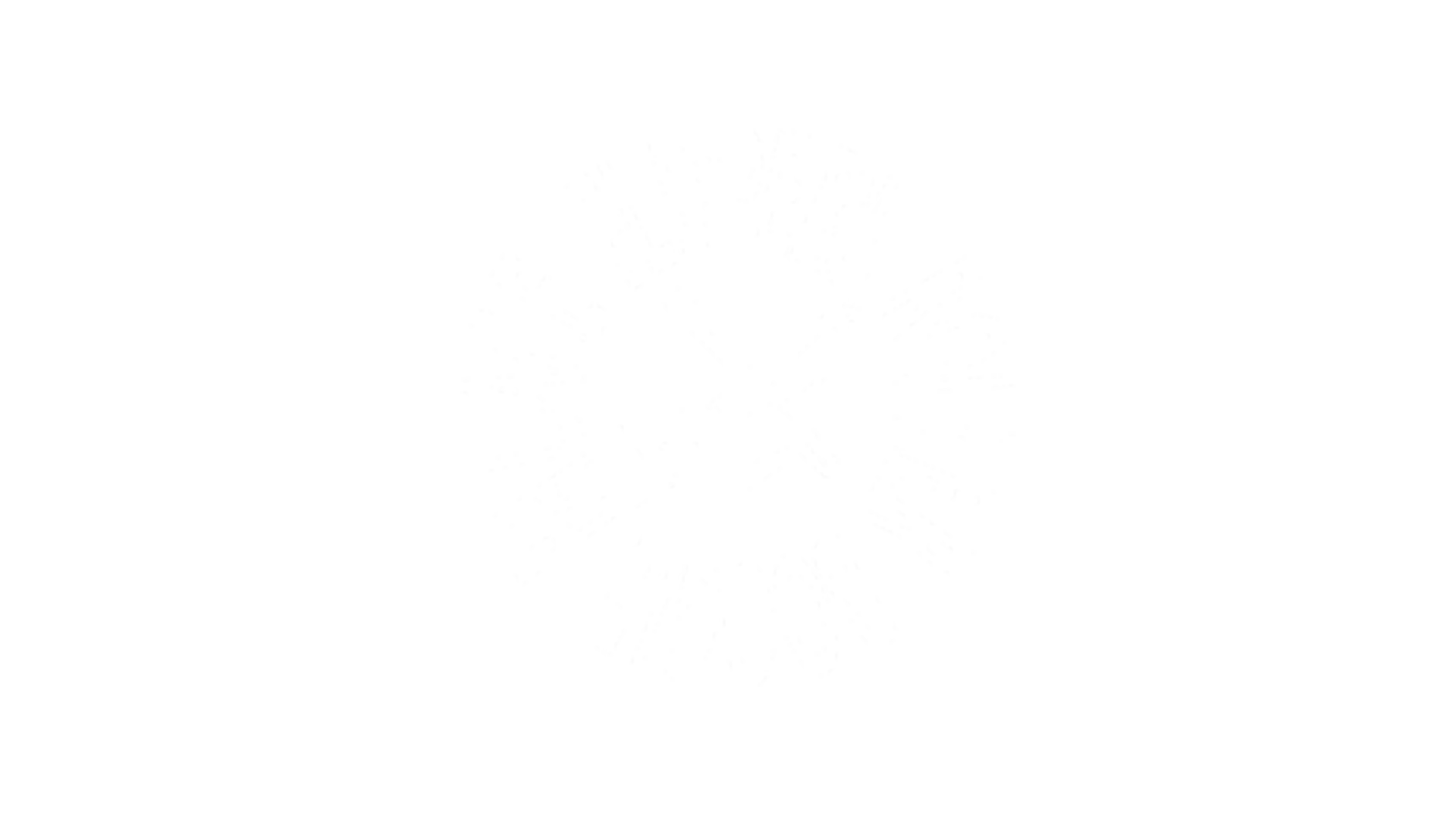 Flippers.png