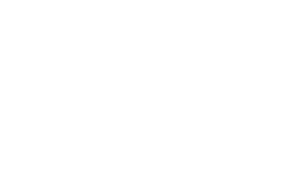 hyundai.png