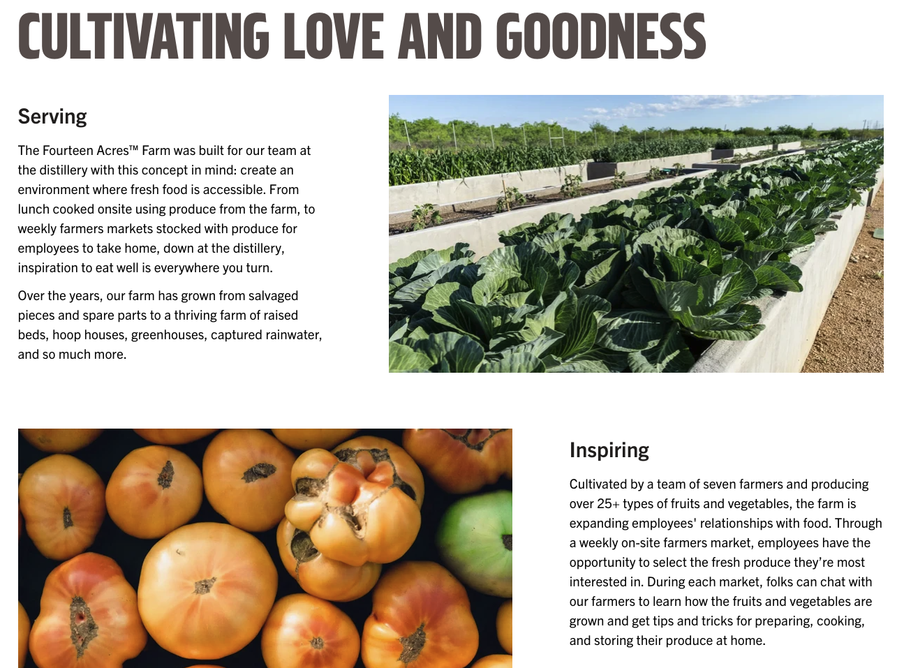 Screenshot 2026-01-18 at 1.07.05 AM.png