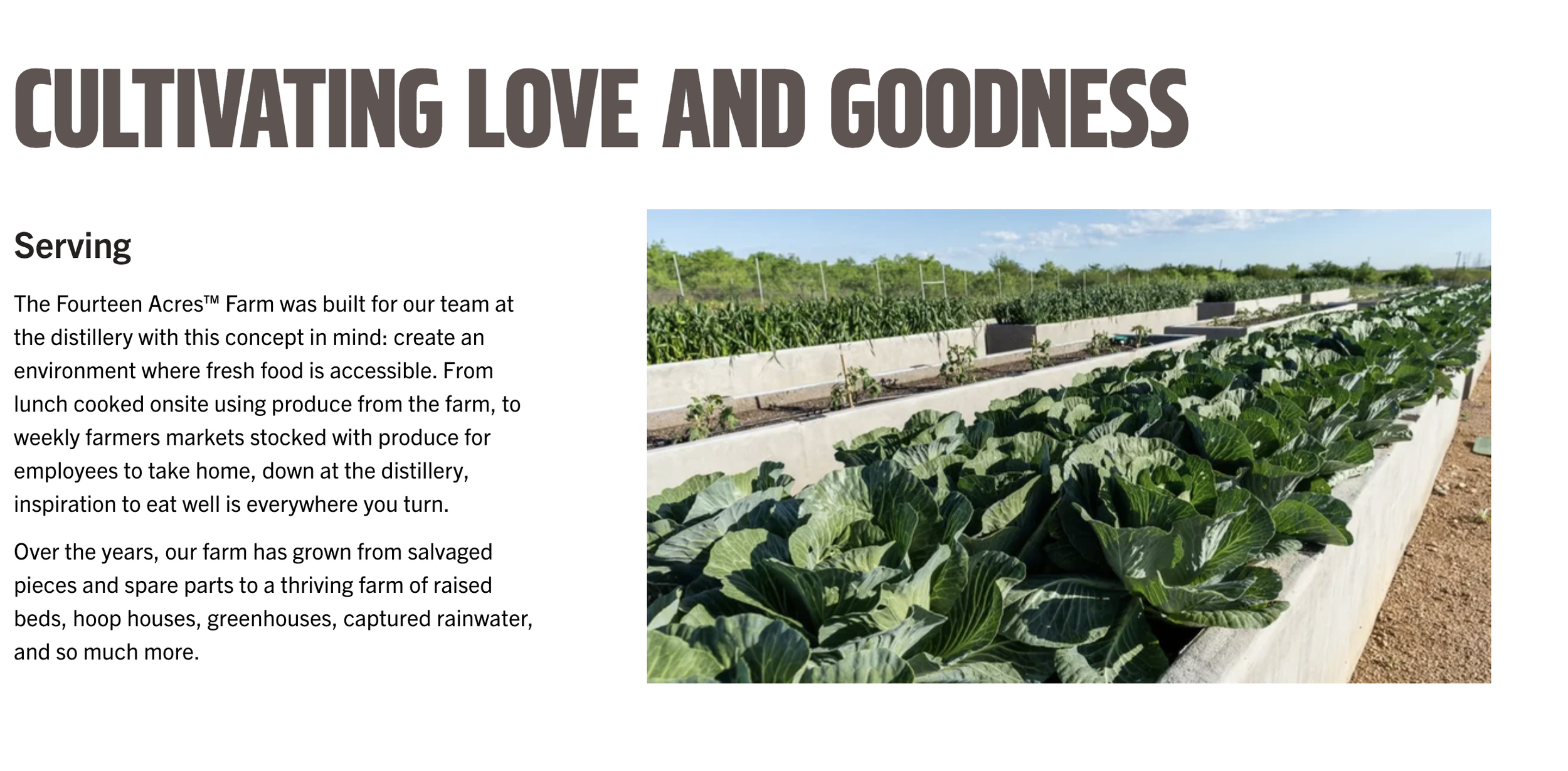 The Fourteen Acres Farm, 2024