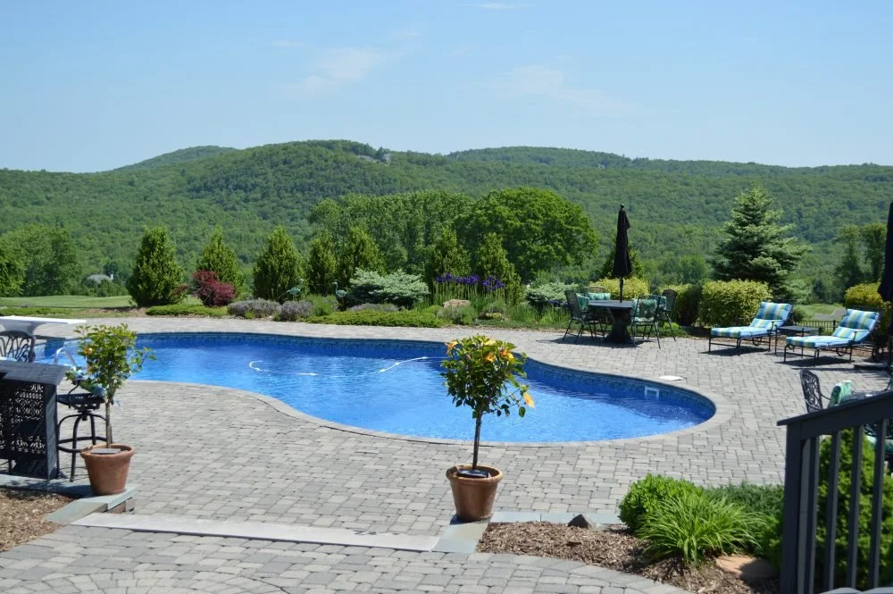 Is the Kidney-Shaped Pool Design Still Fashionable and Popular?