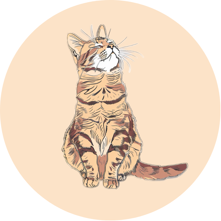 Calypso with wash 3.png