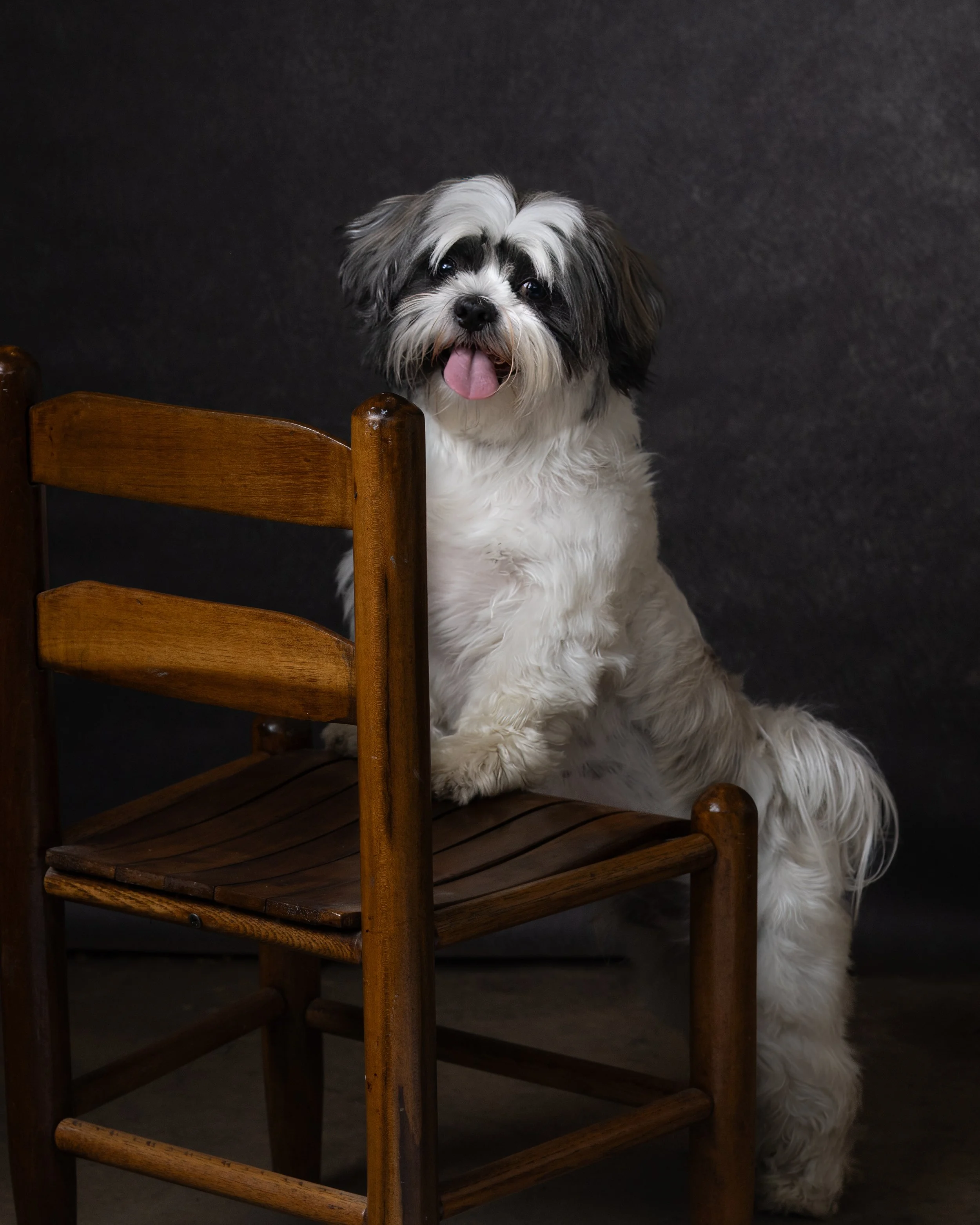 PGCP9140-Edit.jpg