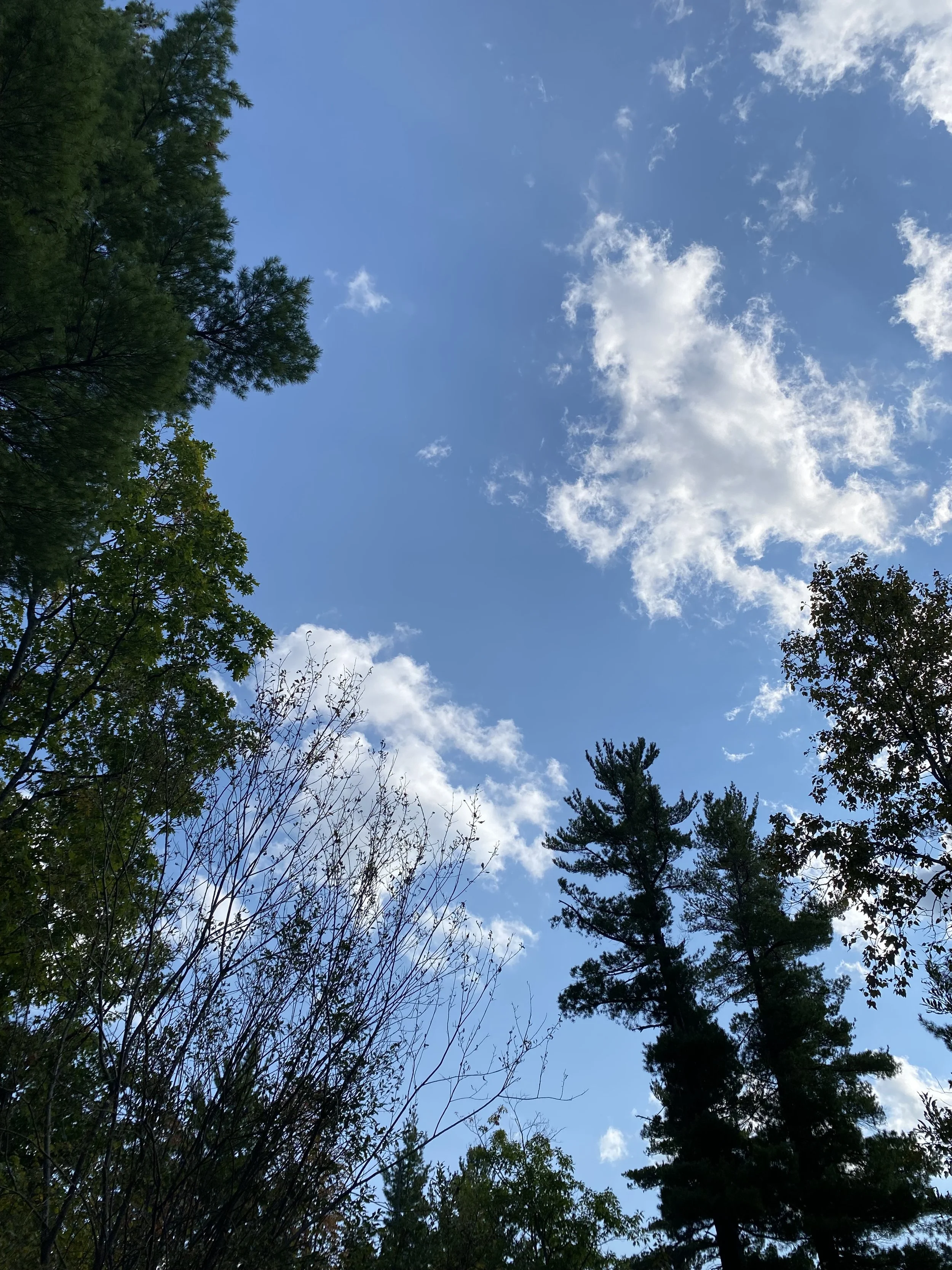 Gender Affirming Care