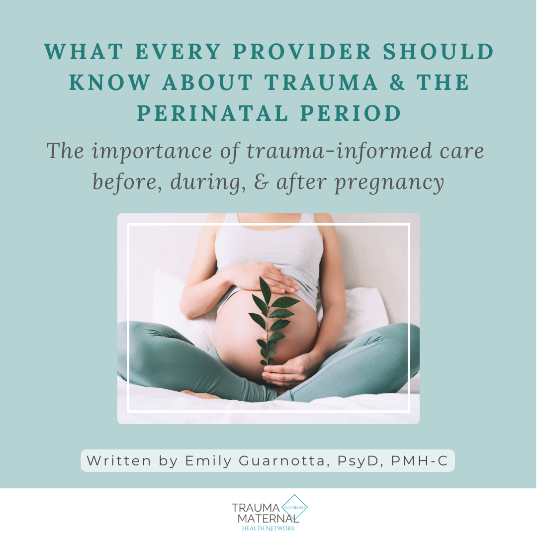 What Every Provider Should Know About Trauma & the Perinatal Period | The Importance of Trauma-Informed Care Before, During, & After Pregnancy