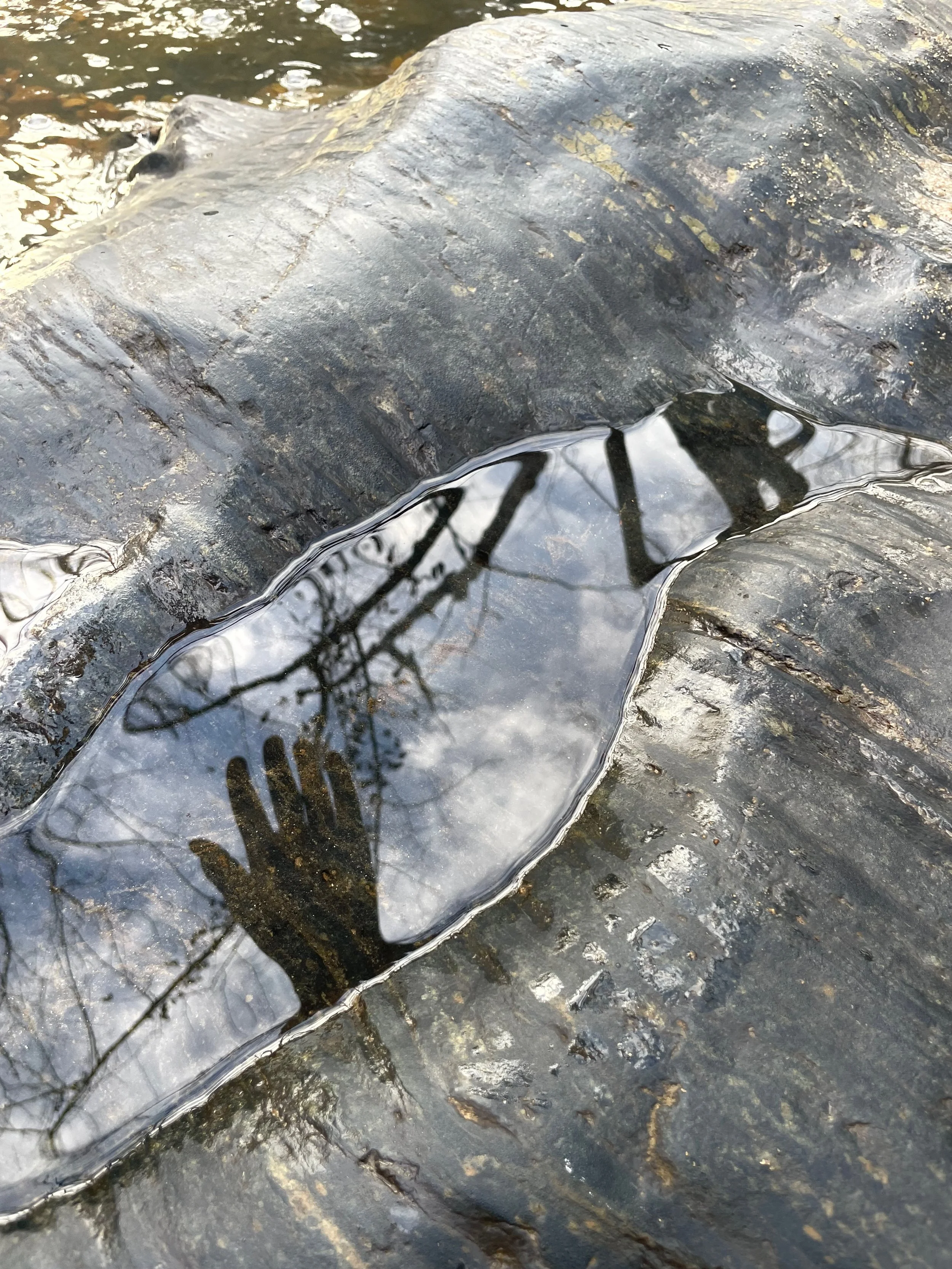 A hand's shadow cast in a small pool of water on a rocky surface with reflections of trees and sky.