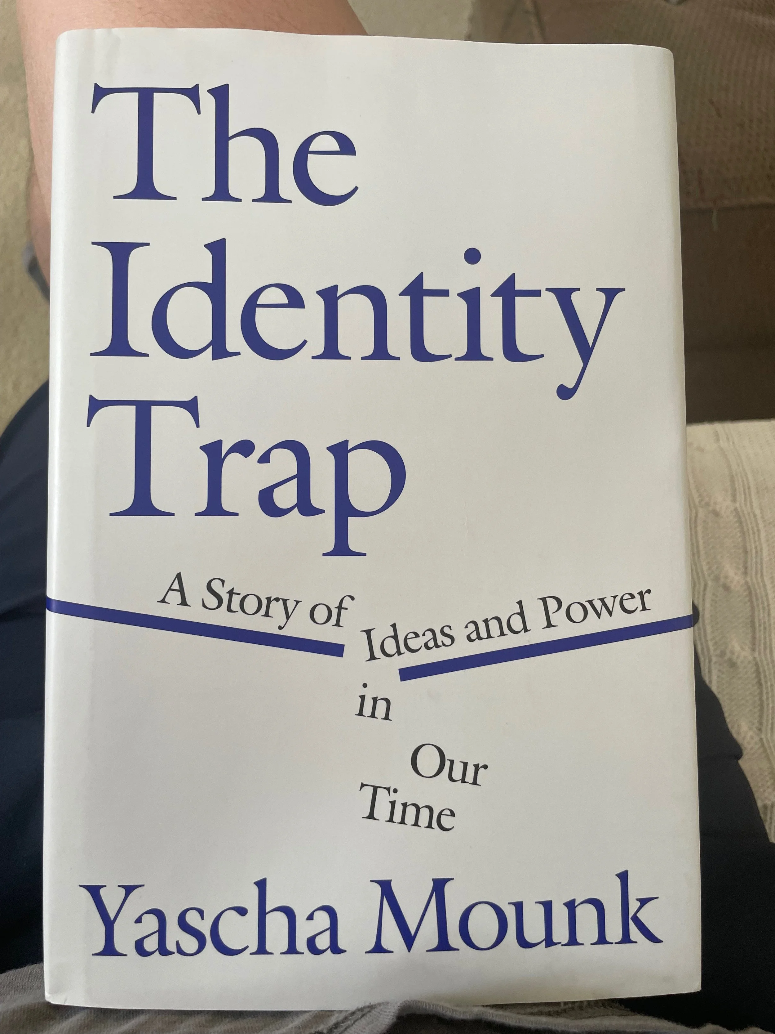 Cover of a book titled "The Identity Trap: A Story of Ideas and Power in Our Time" by Yascha Mounk.