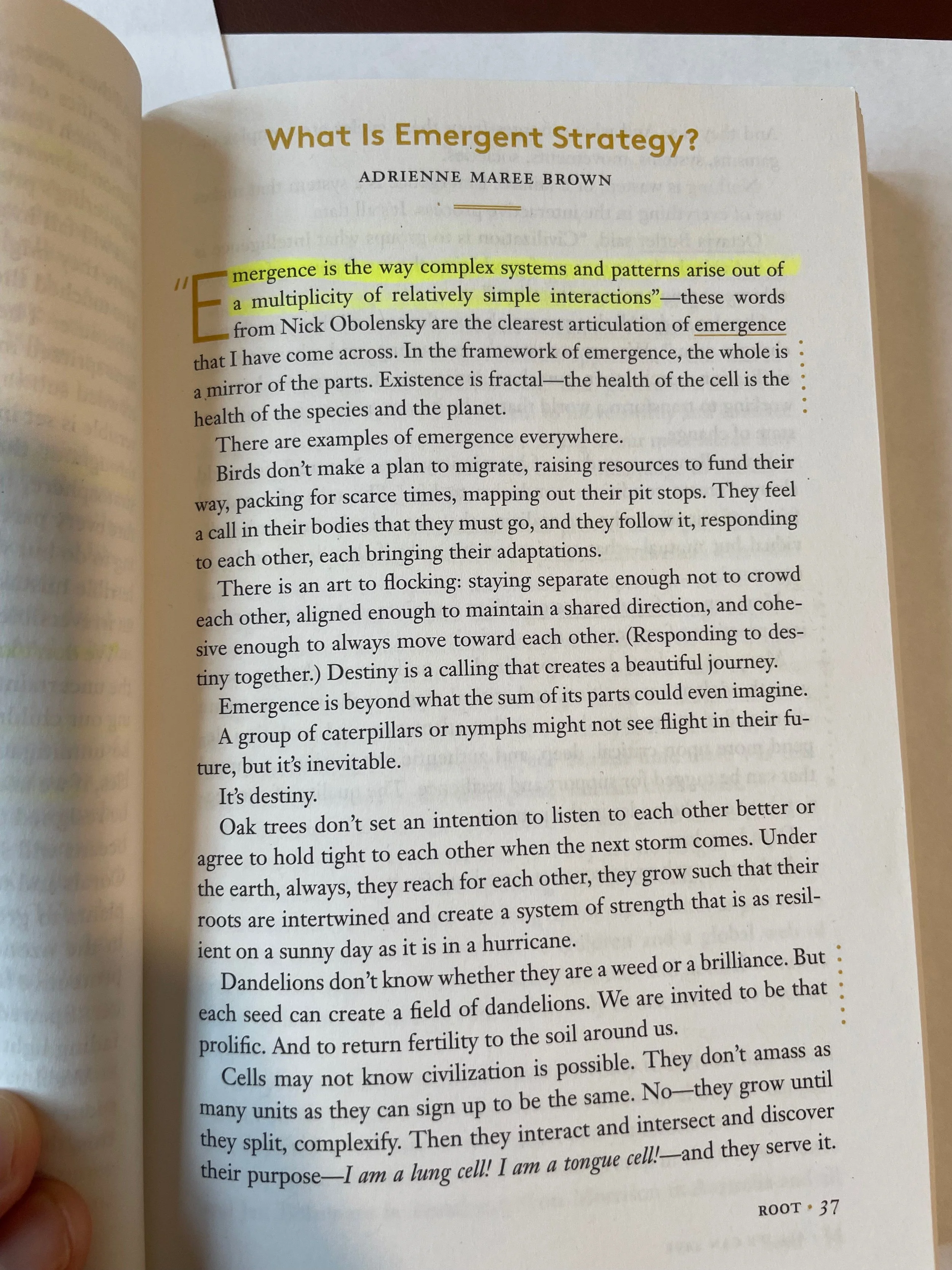 Book page titled 'What Is Emergent Strategy?' by Adrienne Maree Brown, with highlighted text about emergence and complex systems.