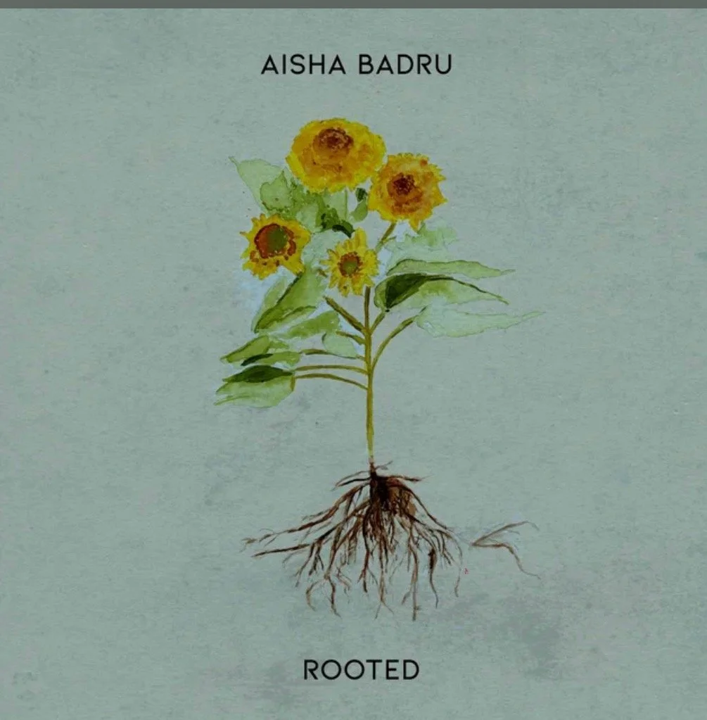 A watercolor illustration of a sunflower plant with roots, labeled 'Aisha Badru' at the top and 'Rooted' at the bottom.