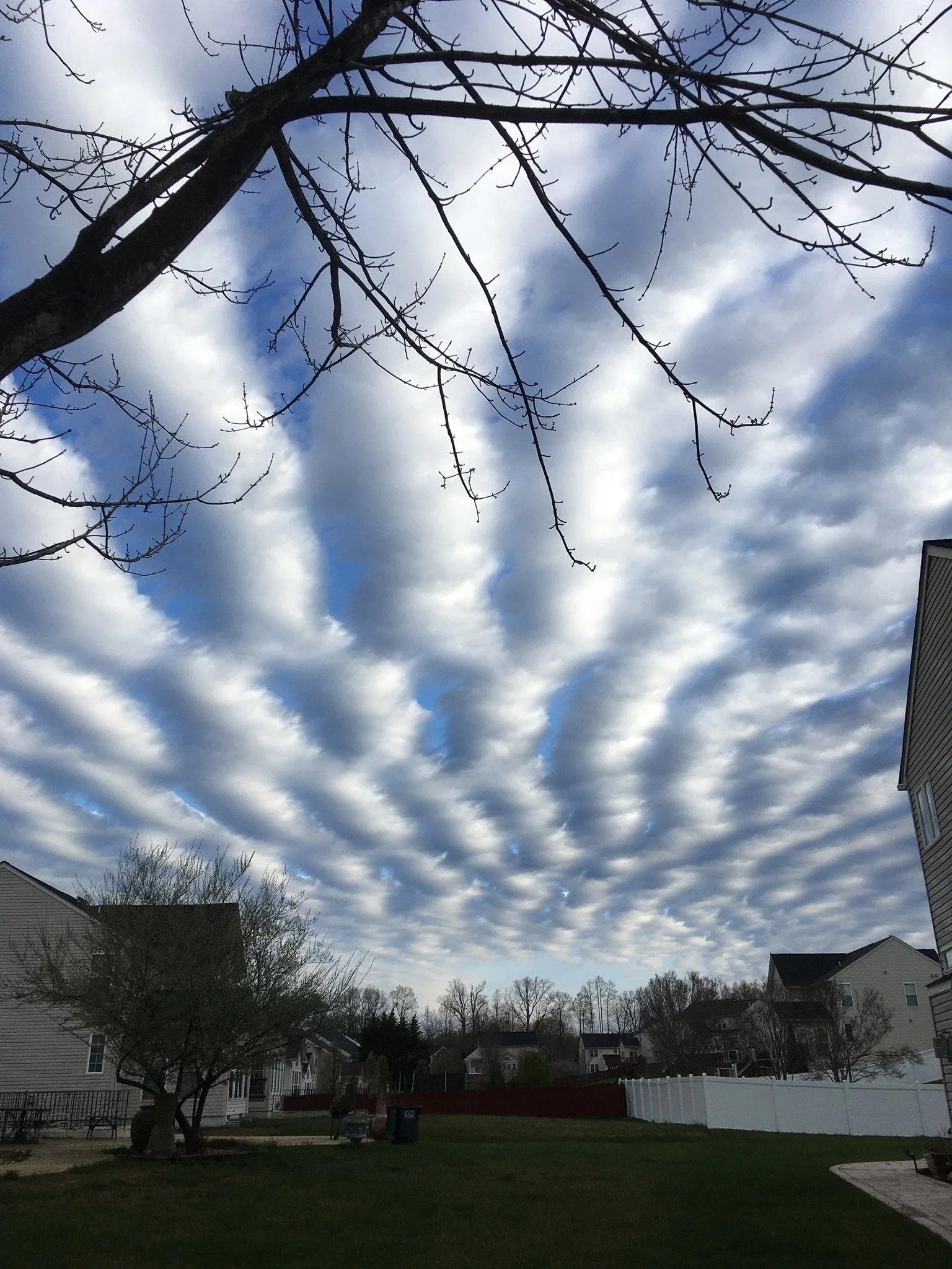 View of a partly cloudy sky with rippled clouds above residential houses and a backyard with trees and a white fence.
