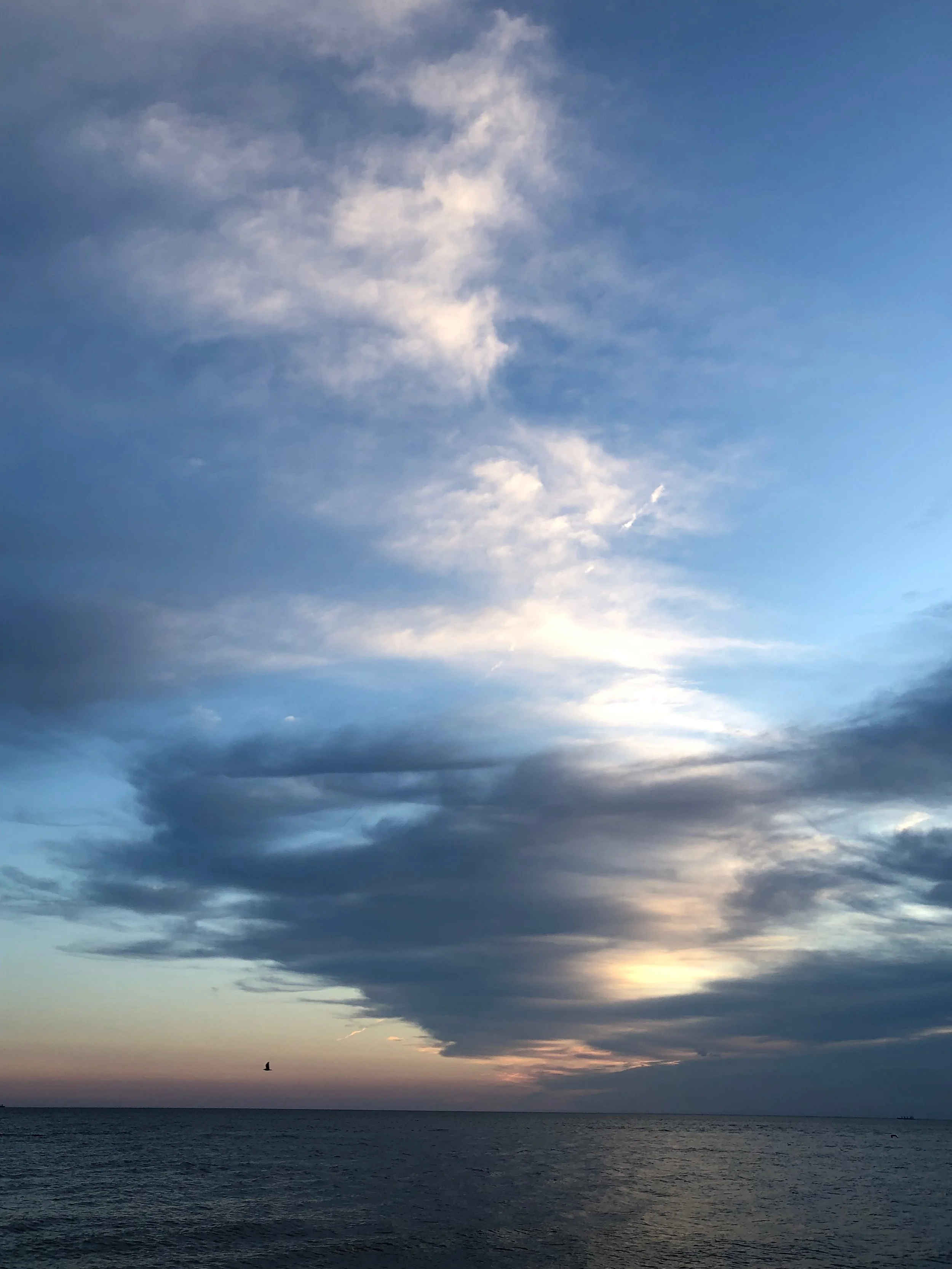 A scenic view of the ocean during sunset with a partly cloudy sky, and a bird flying over the water.