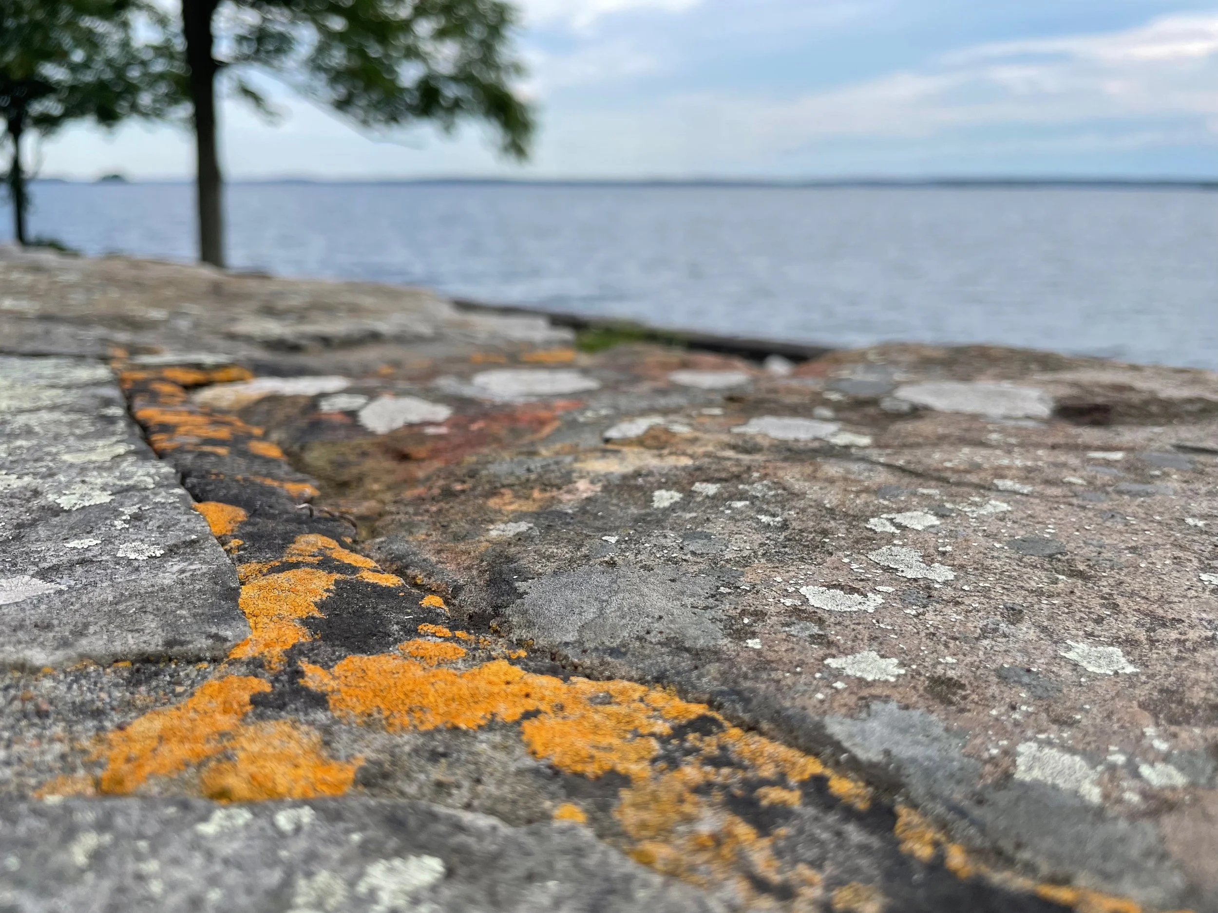 Close-up of weathered stone surface with orange and white lichen, overlooking a body of water with trees and cloudy sky in the background.