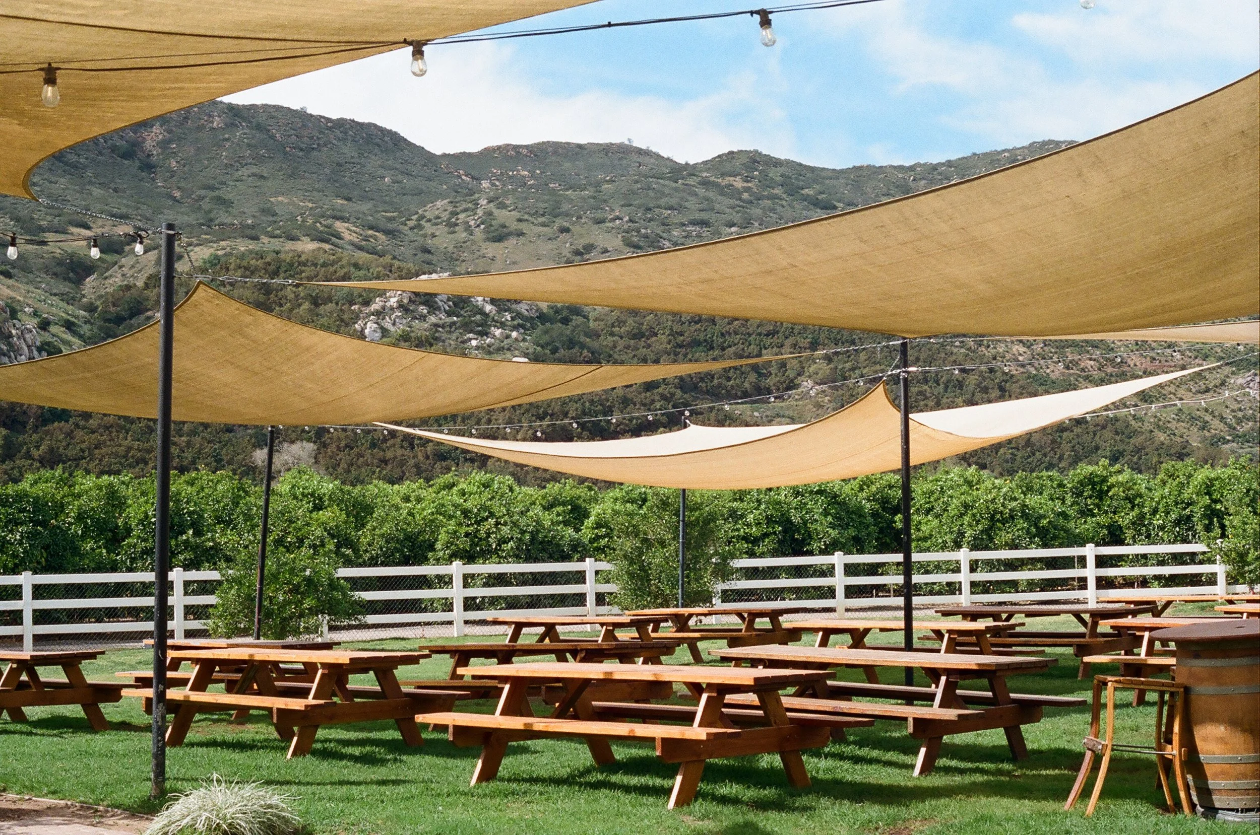 Outdoor patio with wooden picnic tables, covered by beige fabric shade sails and string lights, with a white fence and green hillside in the background.
