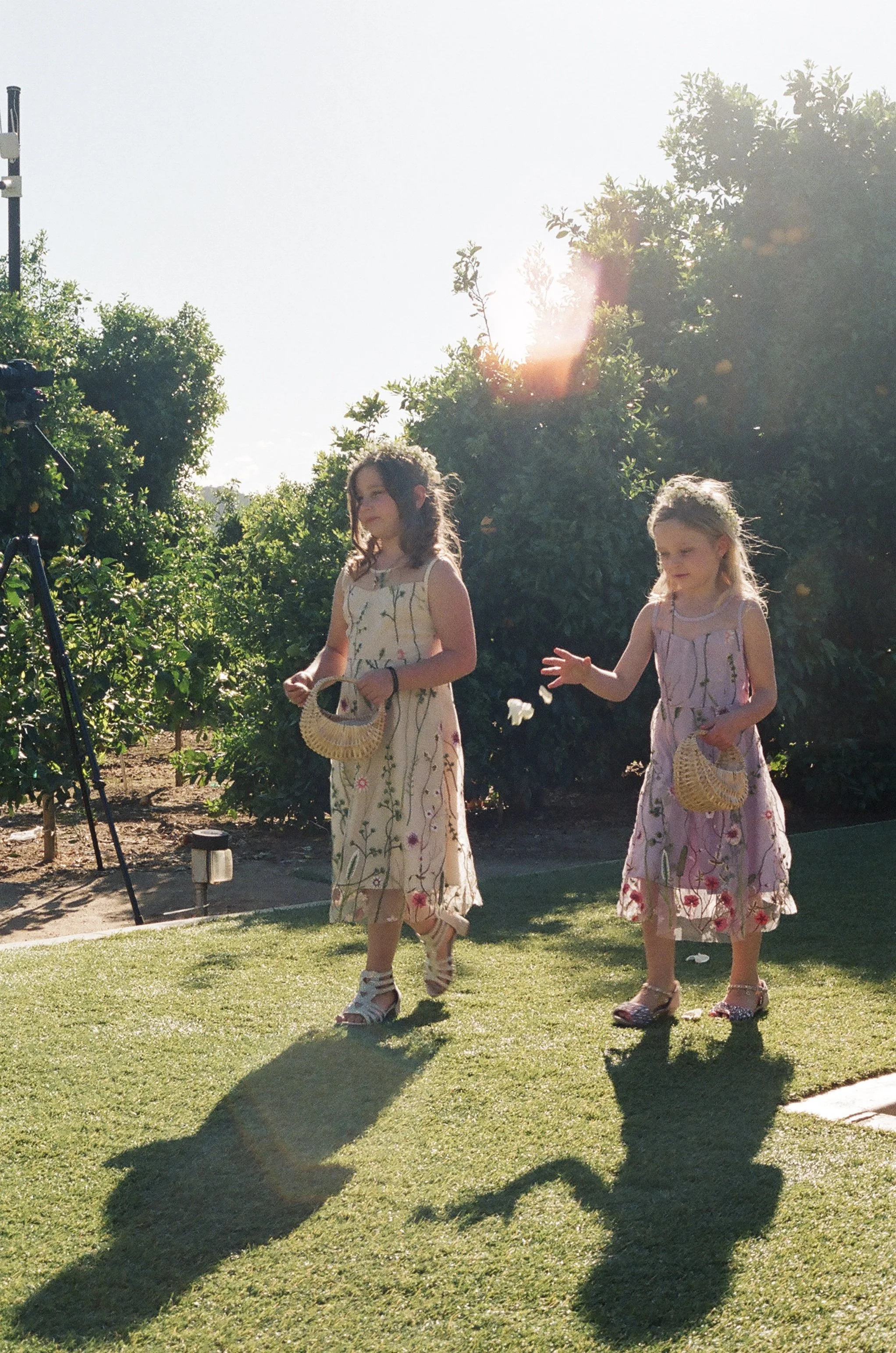 Two young girls in floral dresses walking on a grassy area outdoors during daytime, casting long shadows, with lush green bushes and trees behind them.