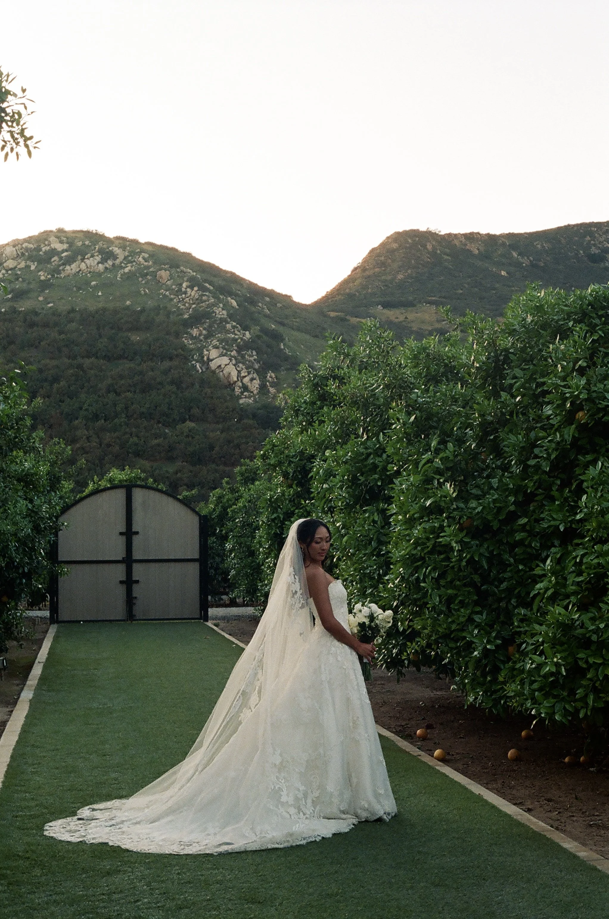 A bride in a white wedding dress with a long train, holding a bouquet of white flowers, standing outdoors in front of green bushes and mountains during sunset.