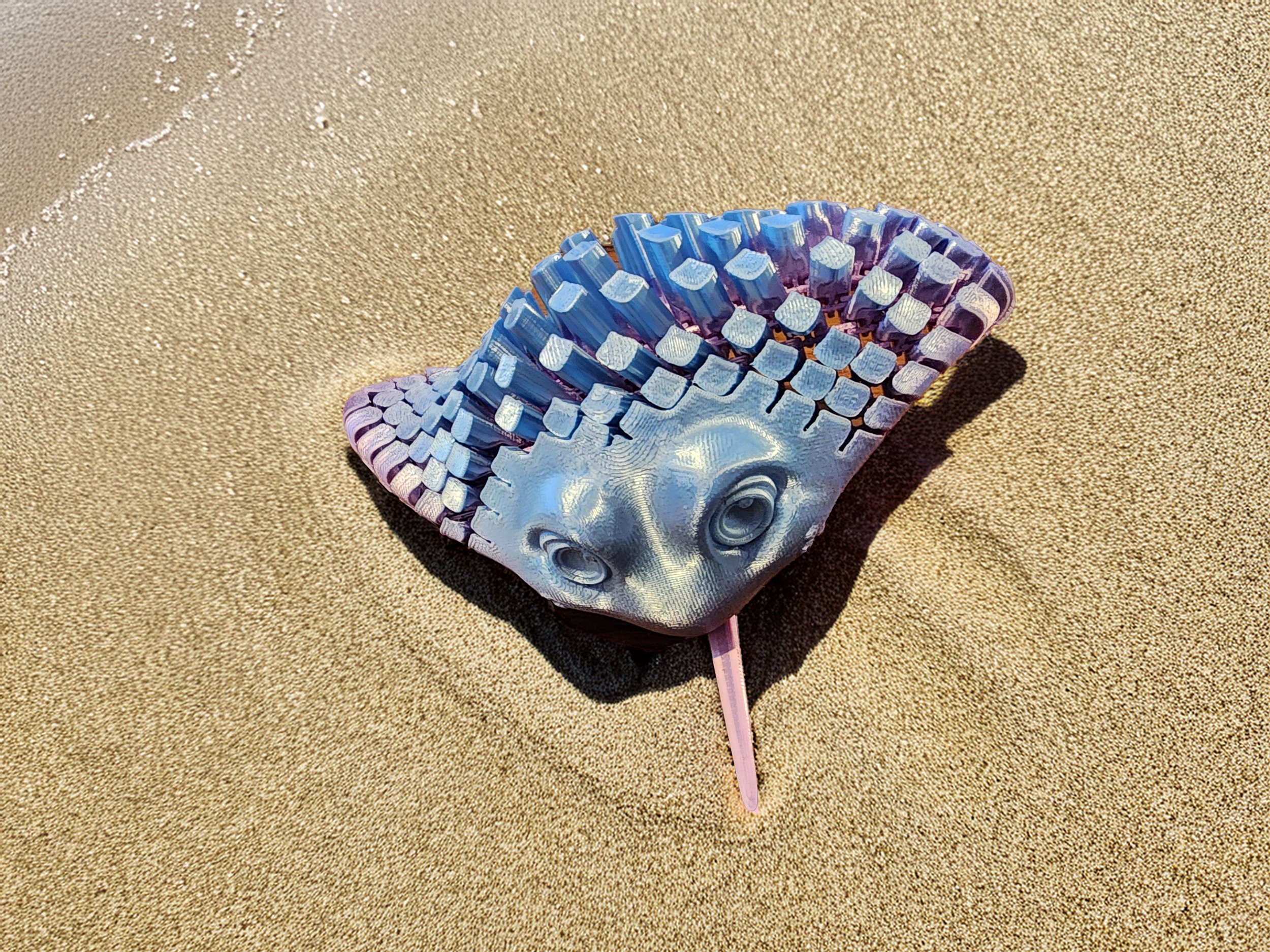 Sand beach curled.jpg