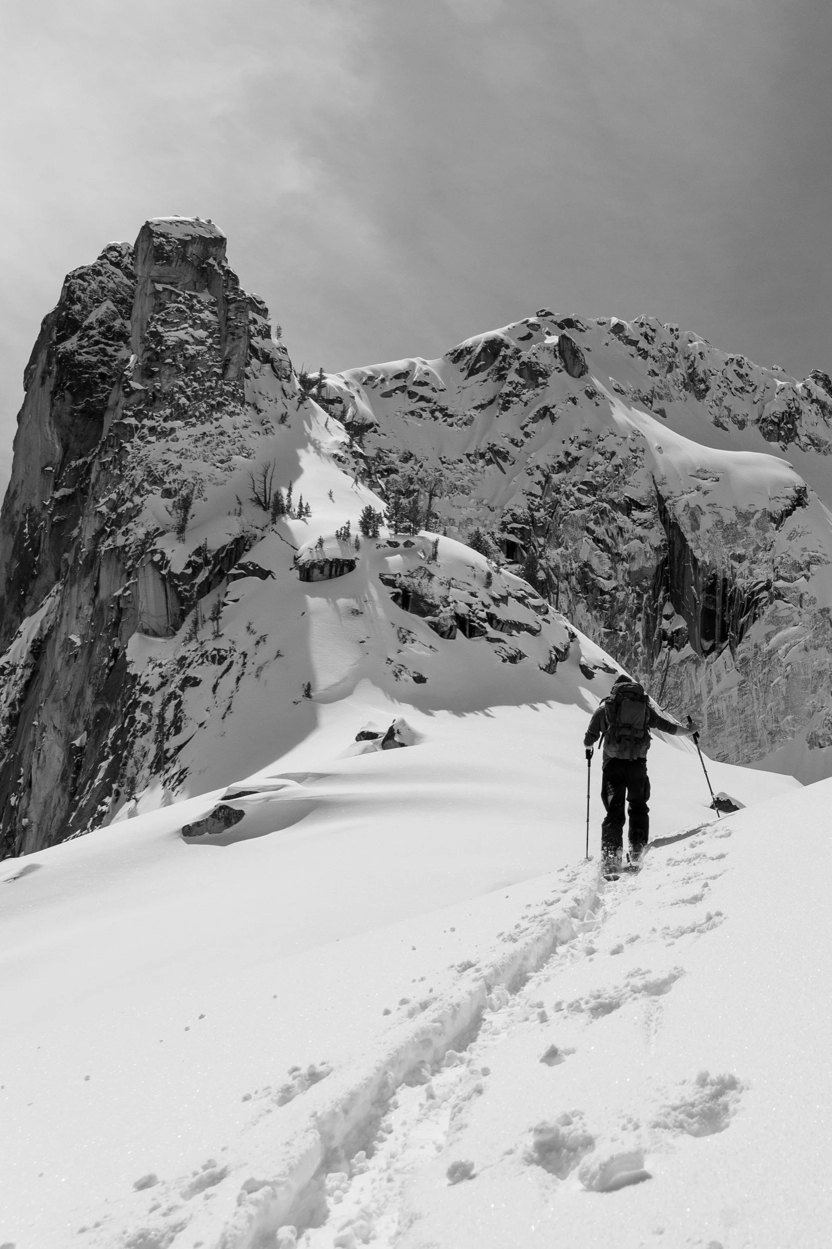 Tristan Pettigrew