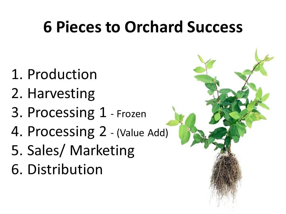  Rosy Farms Haskap Presentation 