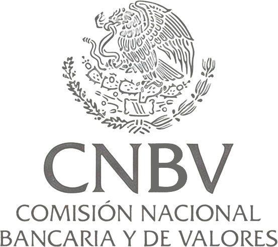 CNBV.png