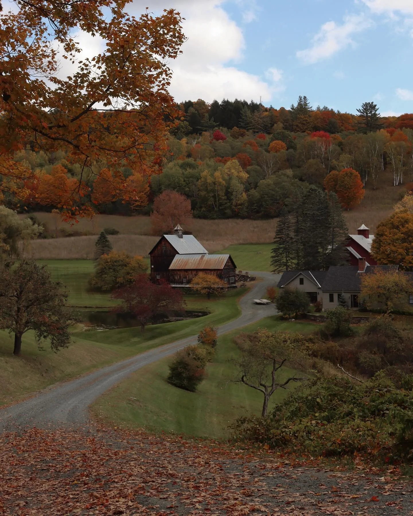 Happy Thanksgiving 🦃🍂