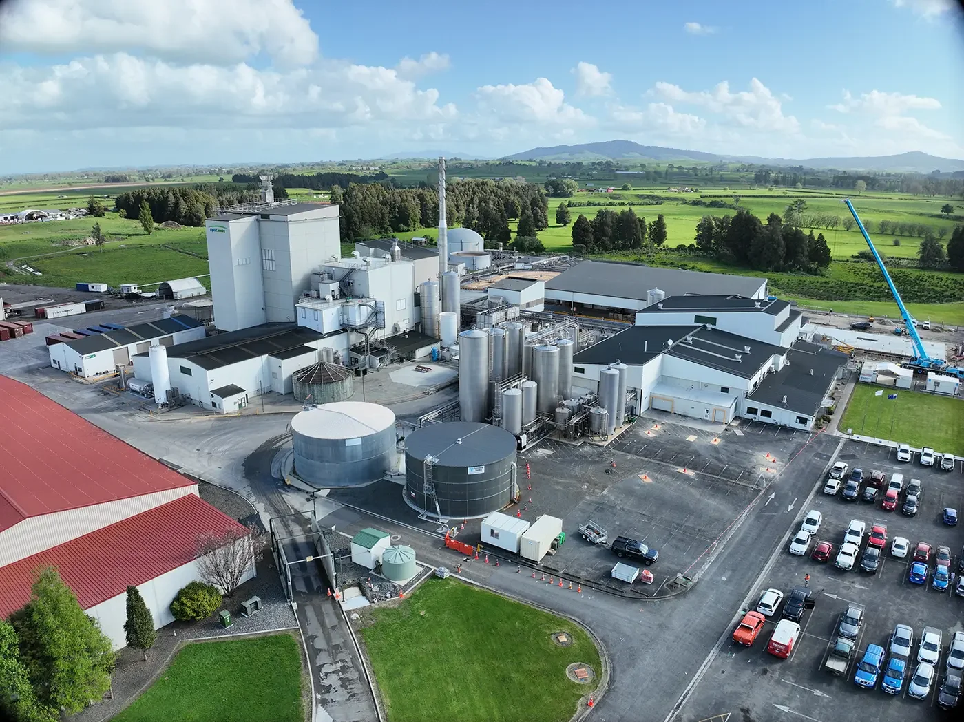 Open Country Dairy, Waharoa